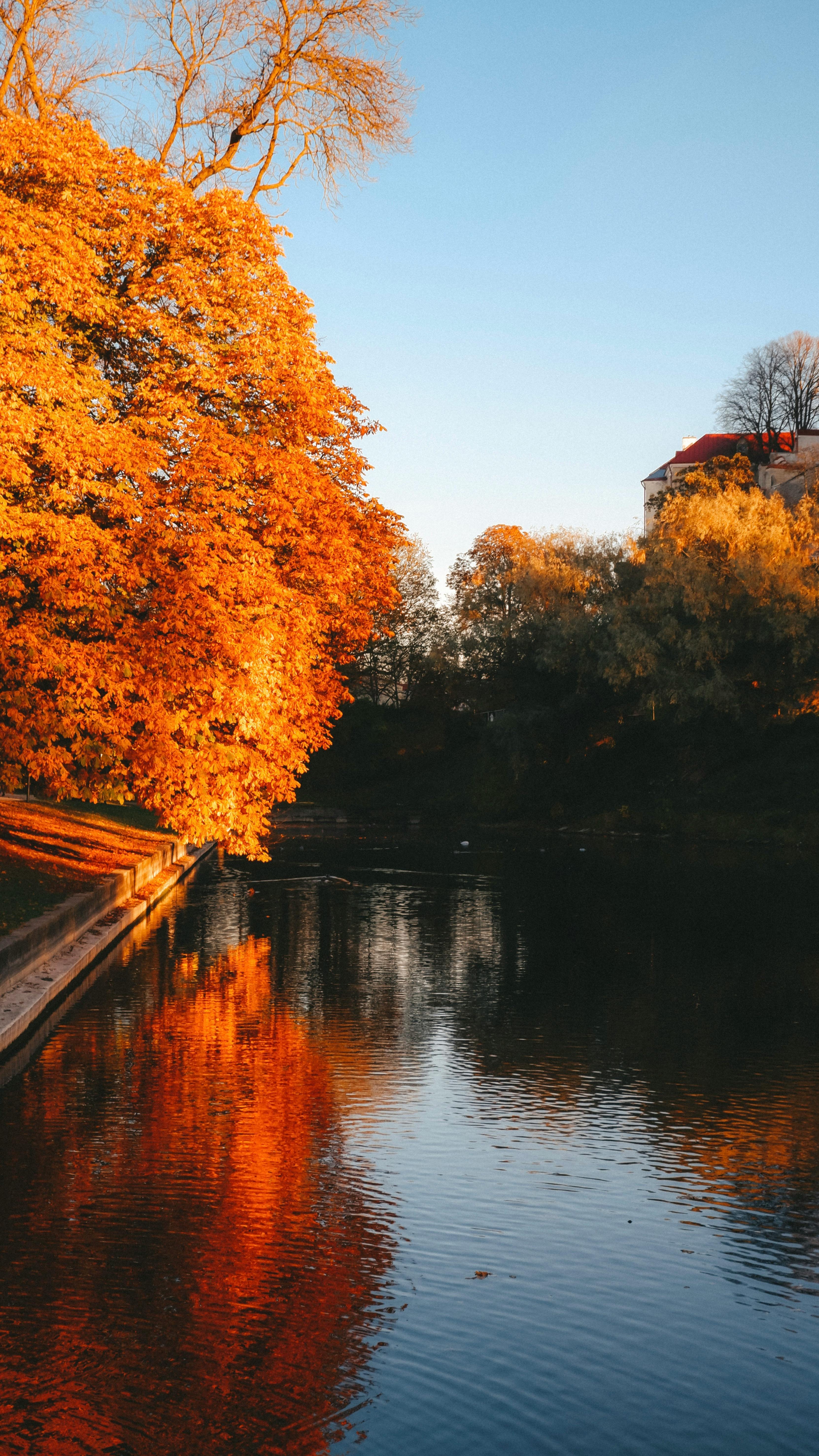View of a River in Autumn · Free