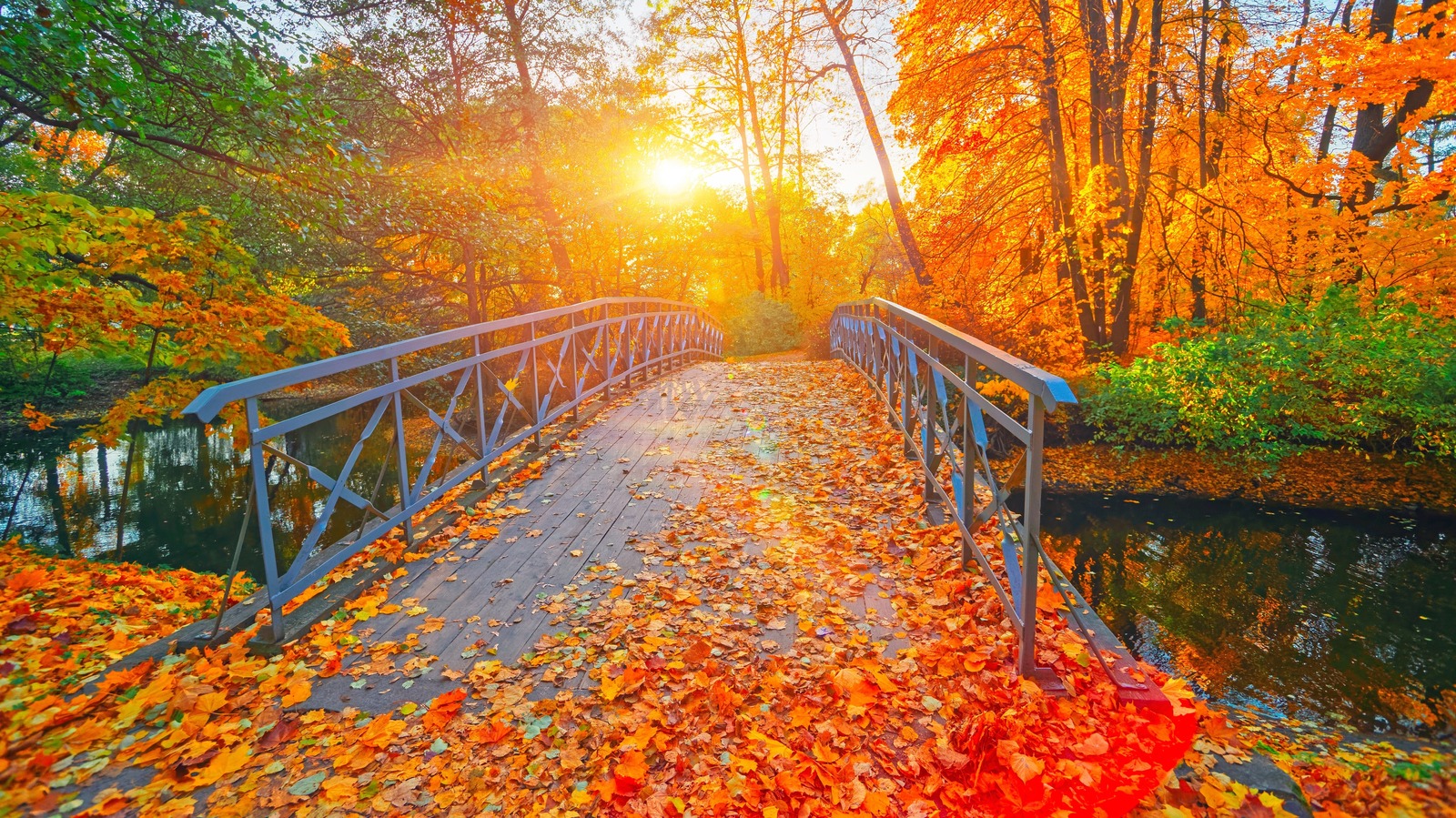 The Most Scenic Rivers And Lakes In America To Experience Stunning Fall Foliage