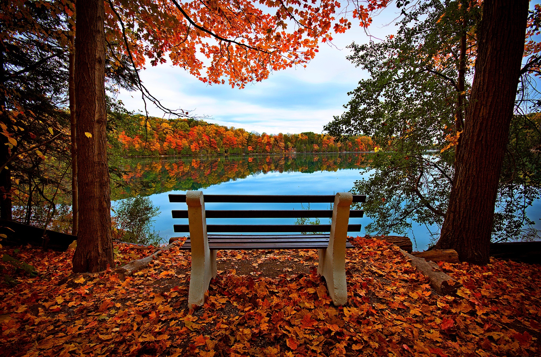Wallpaper autumn, forest, the sky, leaves, water, trees, bench, nature for mobile and desktop, section природа, resolution 2048x1351
