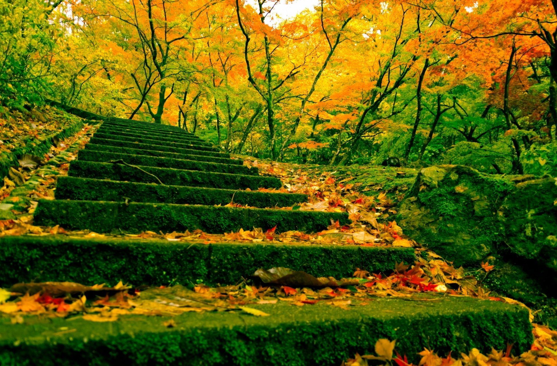 Autumn Stairs: A Tranquil HD Wallpaper from China