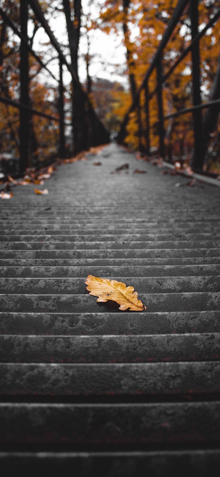 Autumn Leaves Stairs Wallpaper