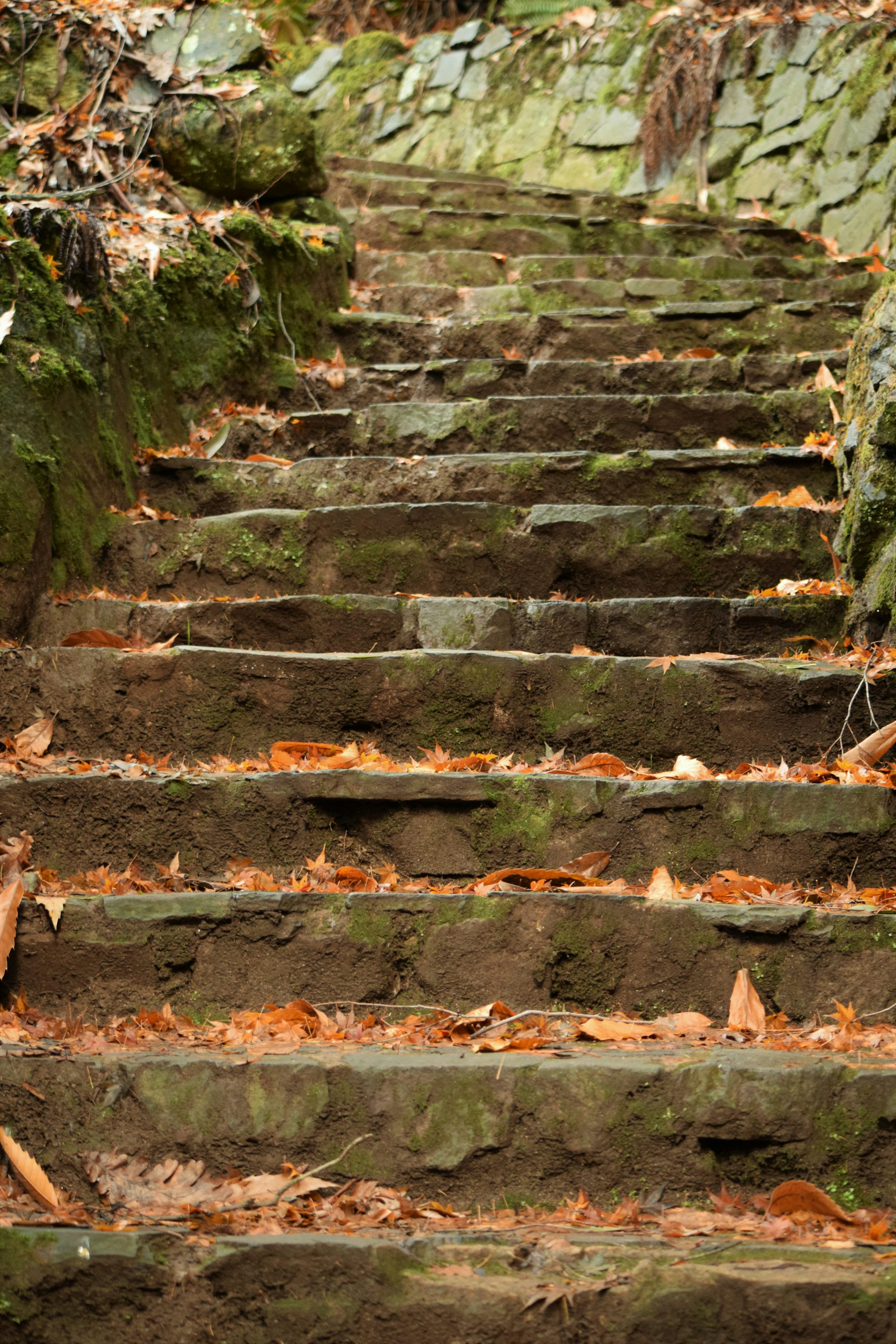 A set of stone steps with moss growing on them photo