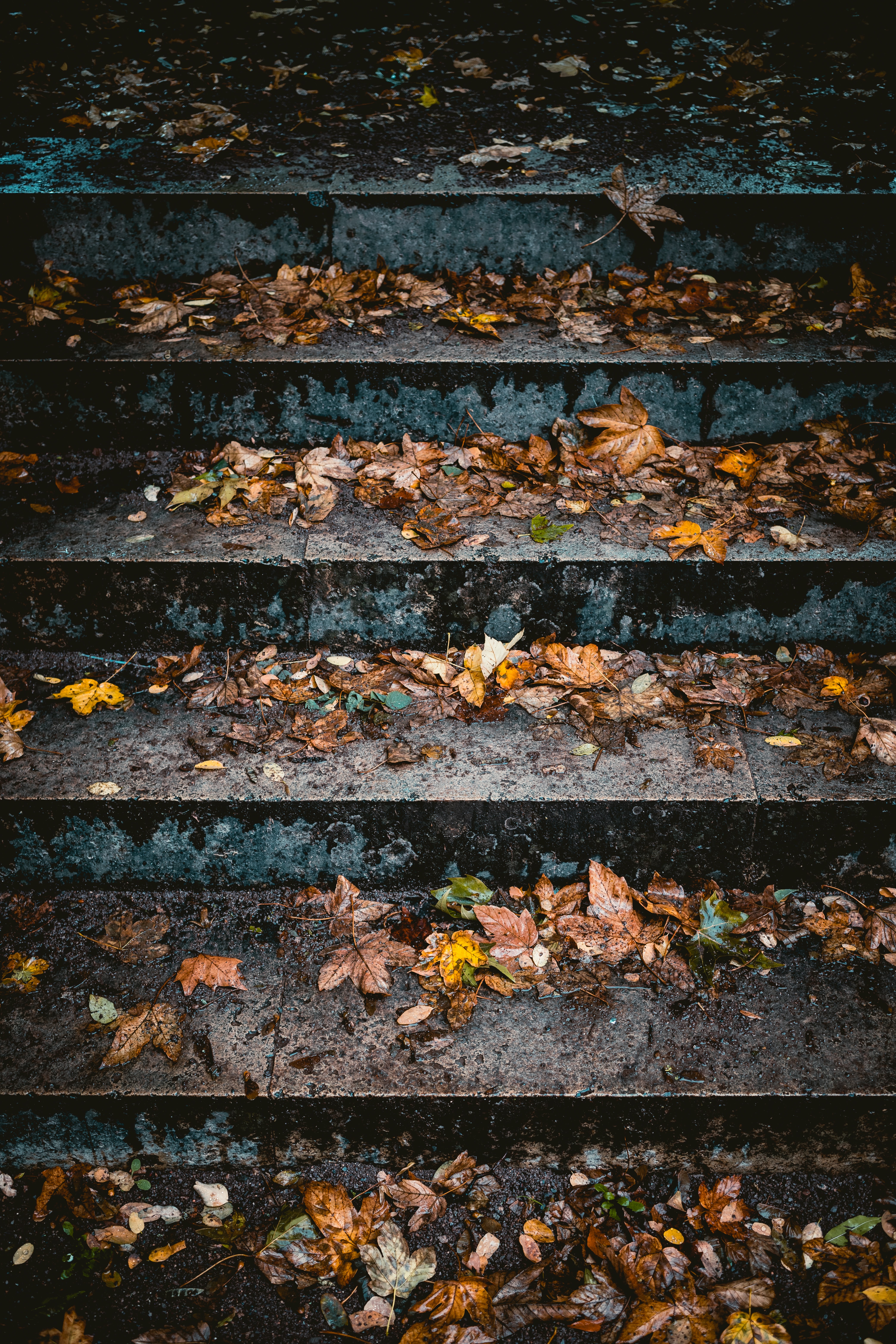 Phone wallpaper: Autumn, Leaves, Miscellanea, Miscellaneous, Stairs, Ladder 62646