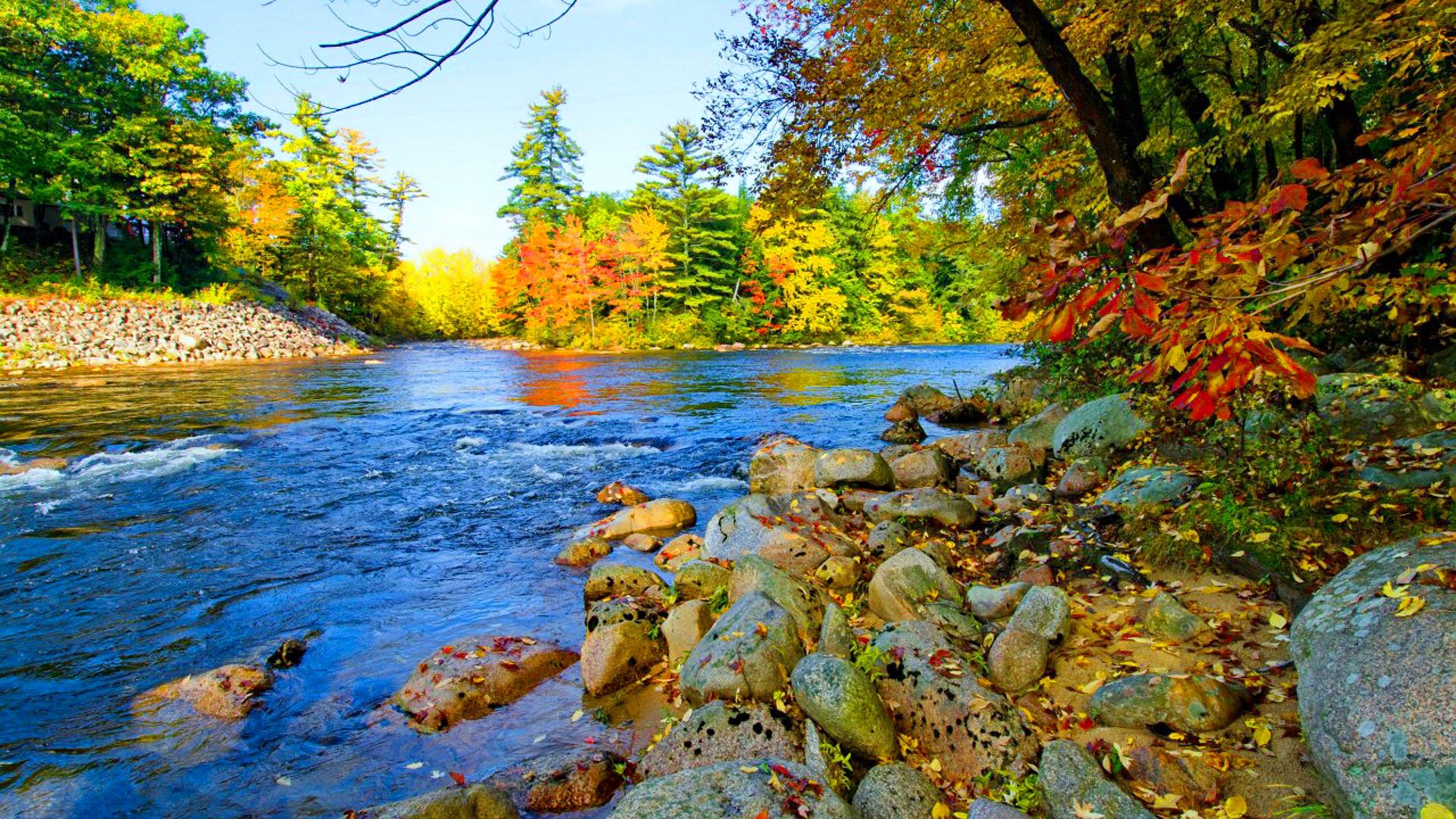 Beautiful Colorful Autumn River Foliage HD Nature Wallpaper