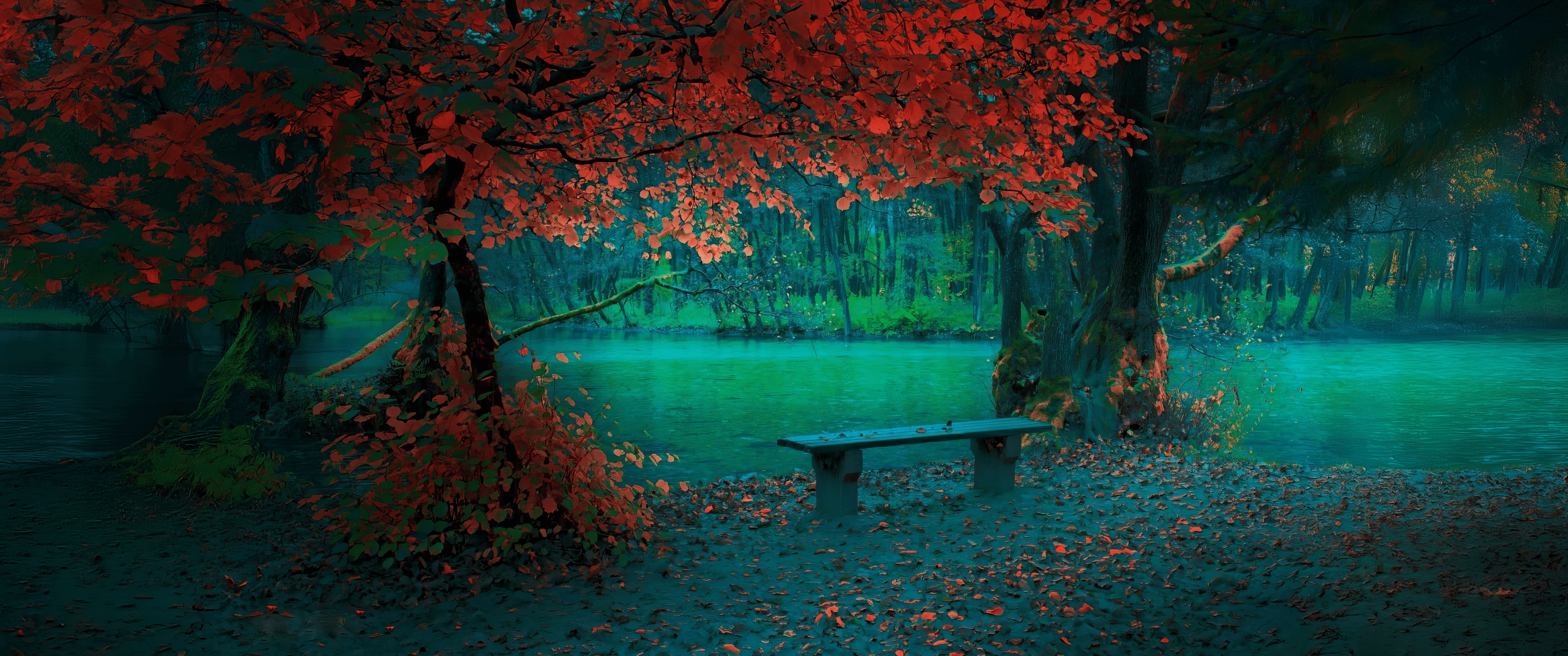Colorful Autumn Leaves by the River [3440x1440]