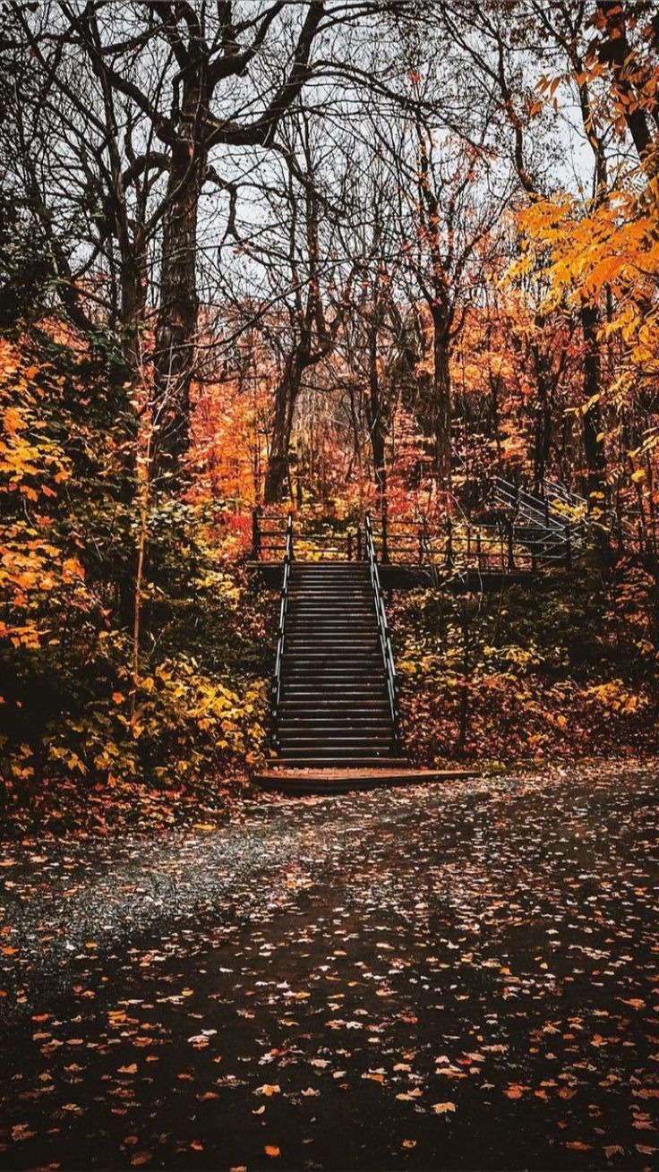Autumn Scenery: Stairs Leading to Hilltop