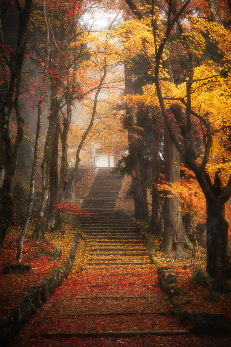I would love to visit this place during autumn. I need to plan some trips to different places around the world that I've been wanting to see. It's been far too long