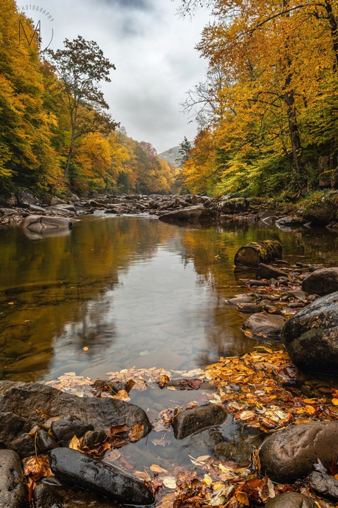 Mountain River, Autumn Colors, Fall Foliage, Mountain Stream, Williams River, West Virginia, River Scene, River Canvas, River Print