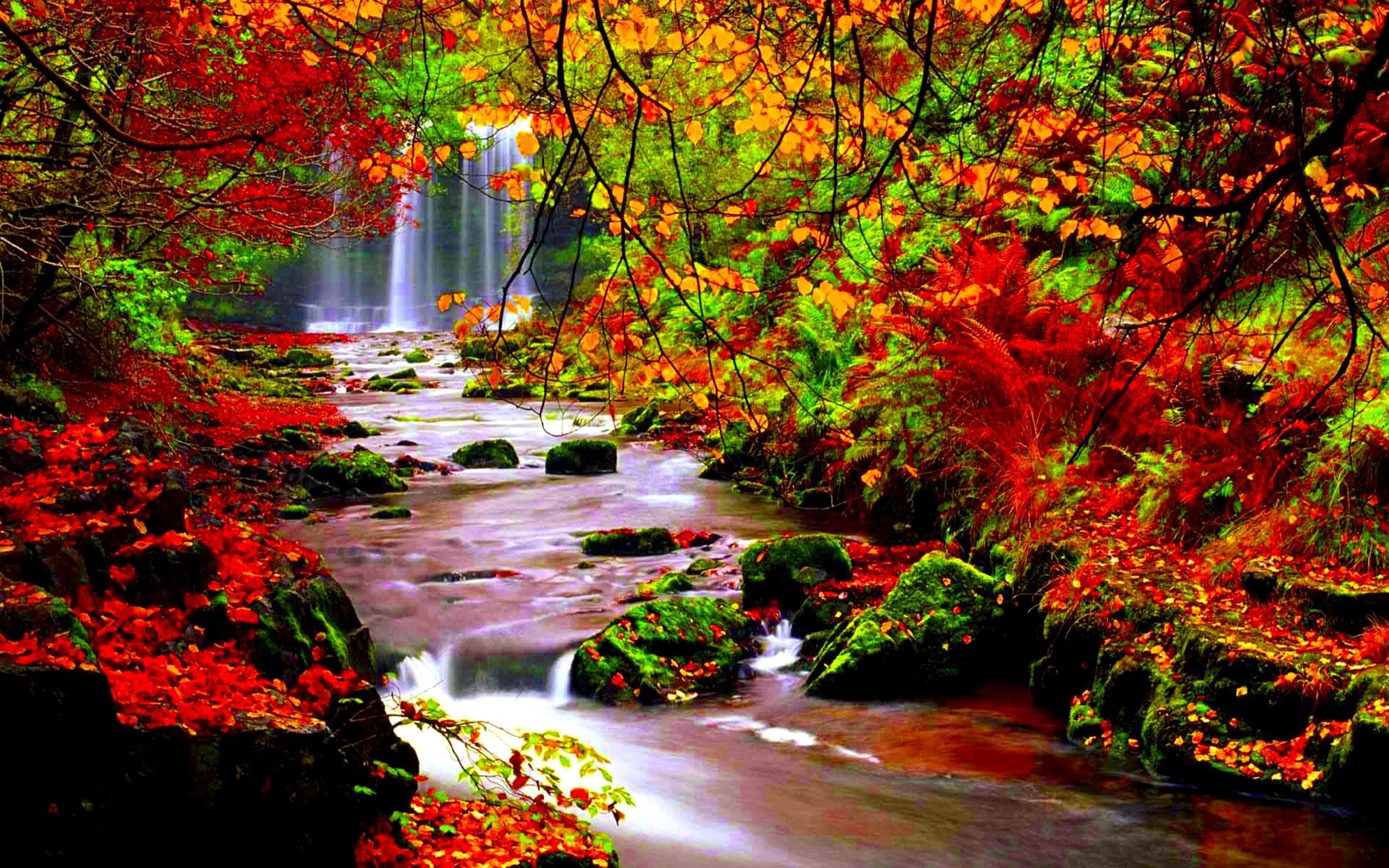 Wallpaper Red and Yellow Leaves on River, Background Free Image