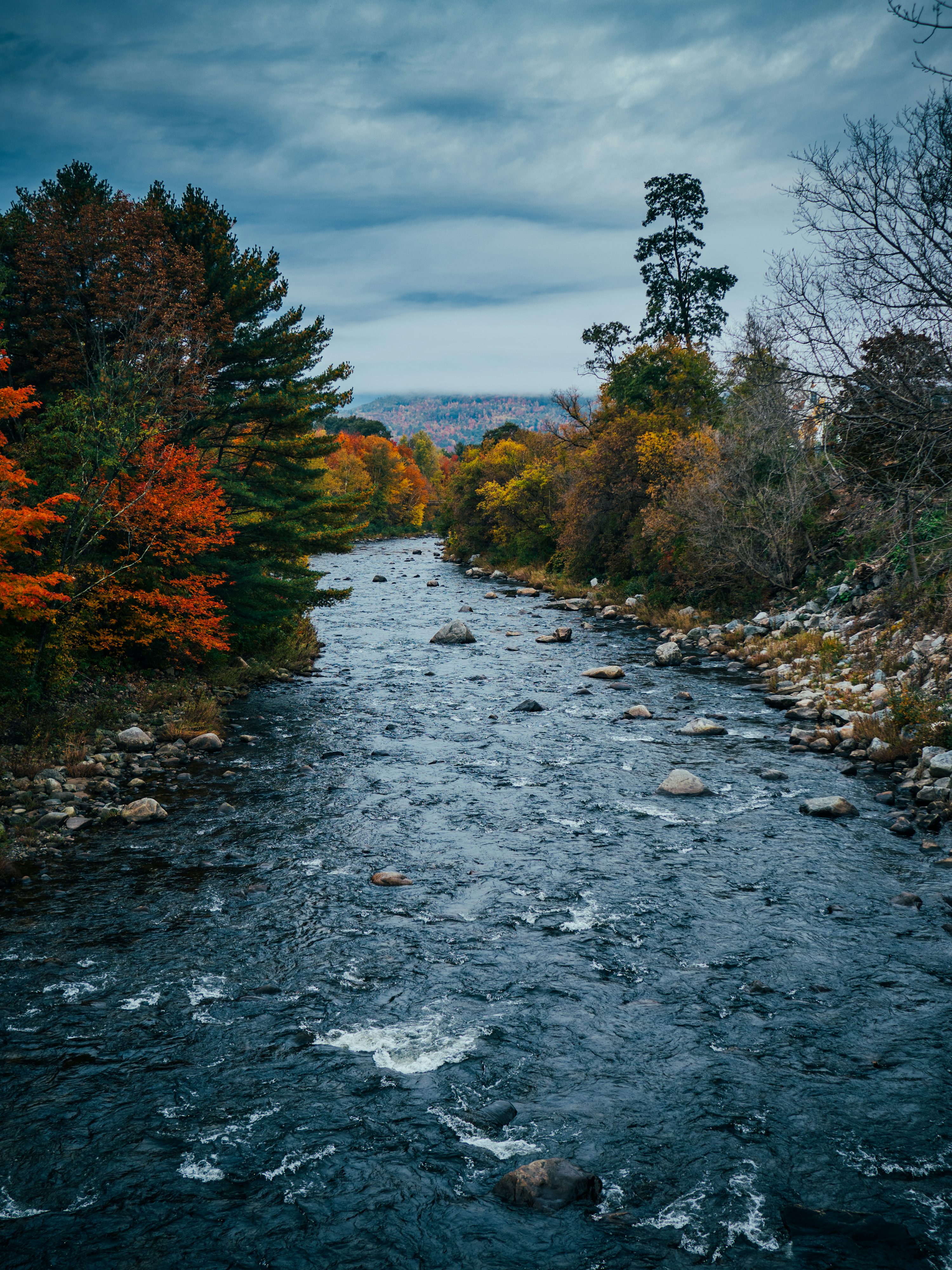A river with rocks and trees photo