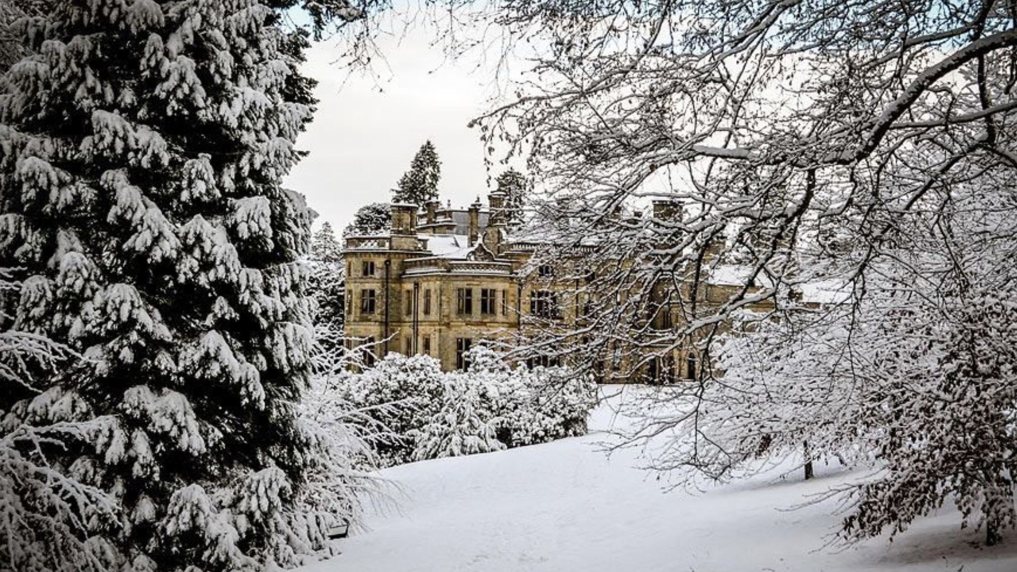 Best UK hotels for Christmas stays in 2024