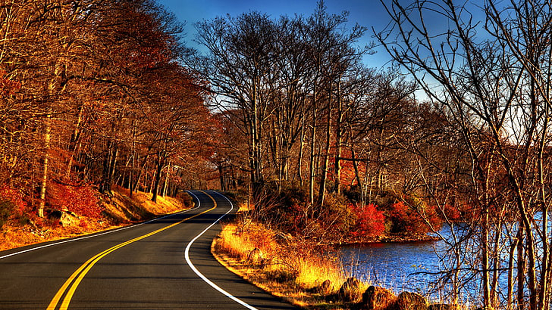 Road Red Yellow Autumn Leaves Trees Forest River Sunlights HD Autumn Wallpaper