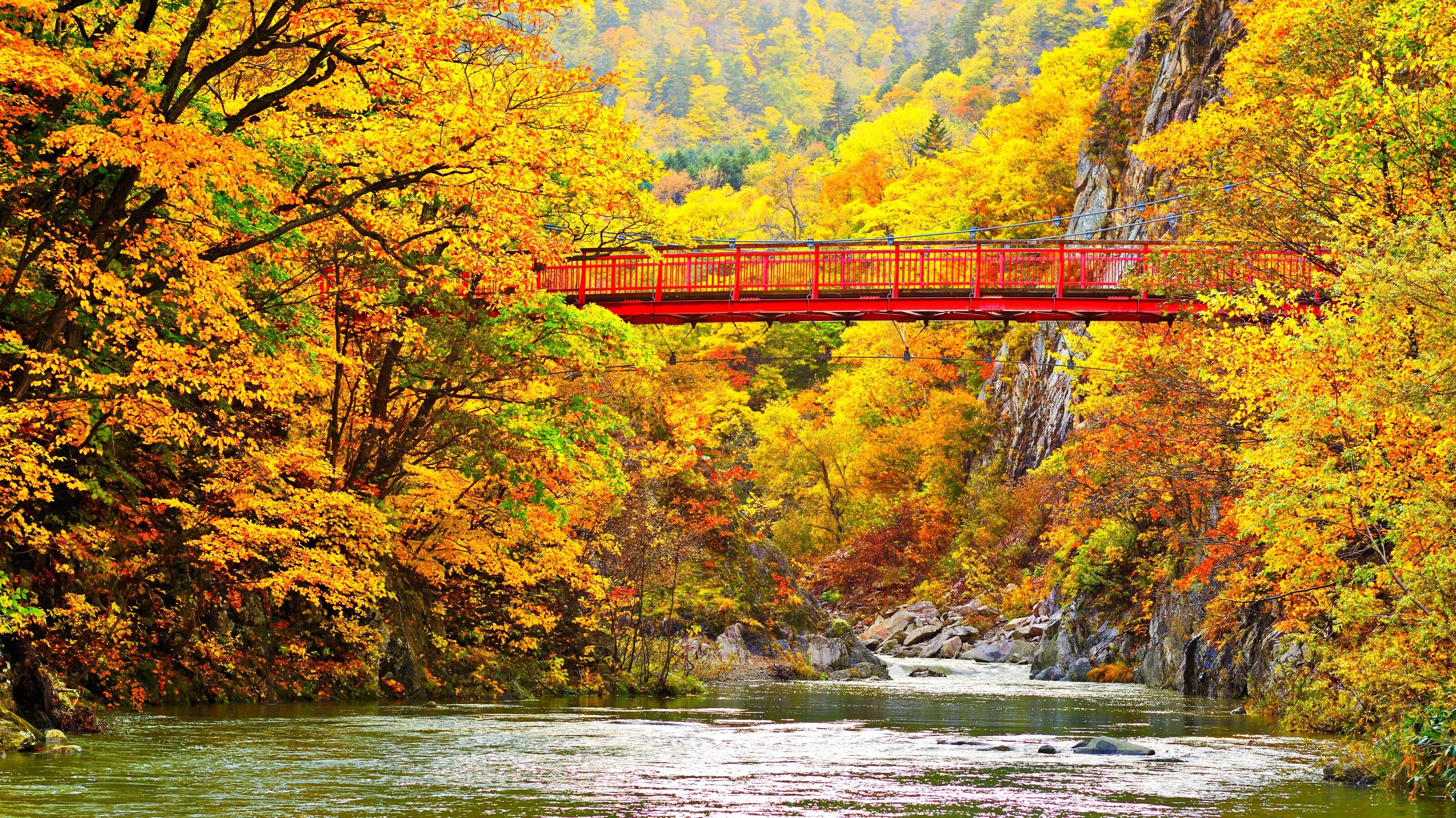 Autumn Stream In Jozankei Japan Mural Wallpaper Your Way