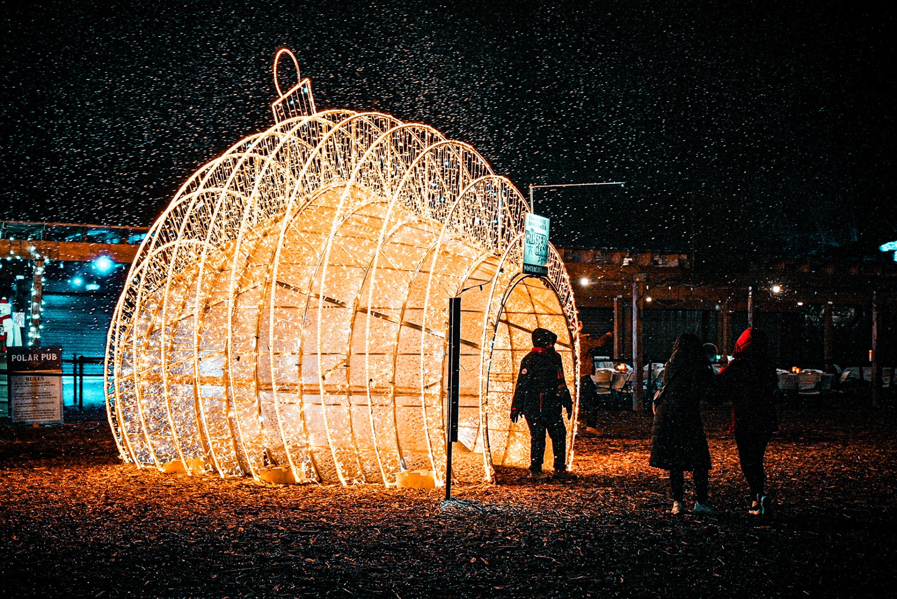 Winter City Lights. Christmas Light Show