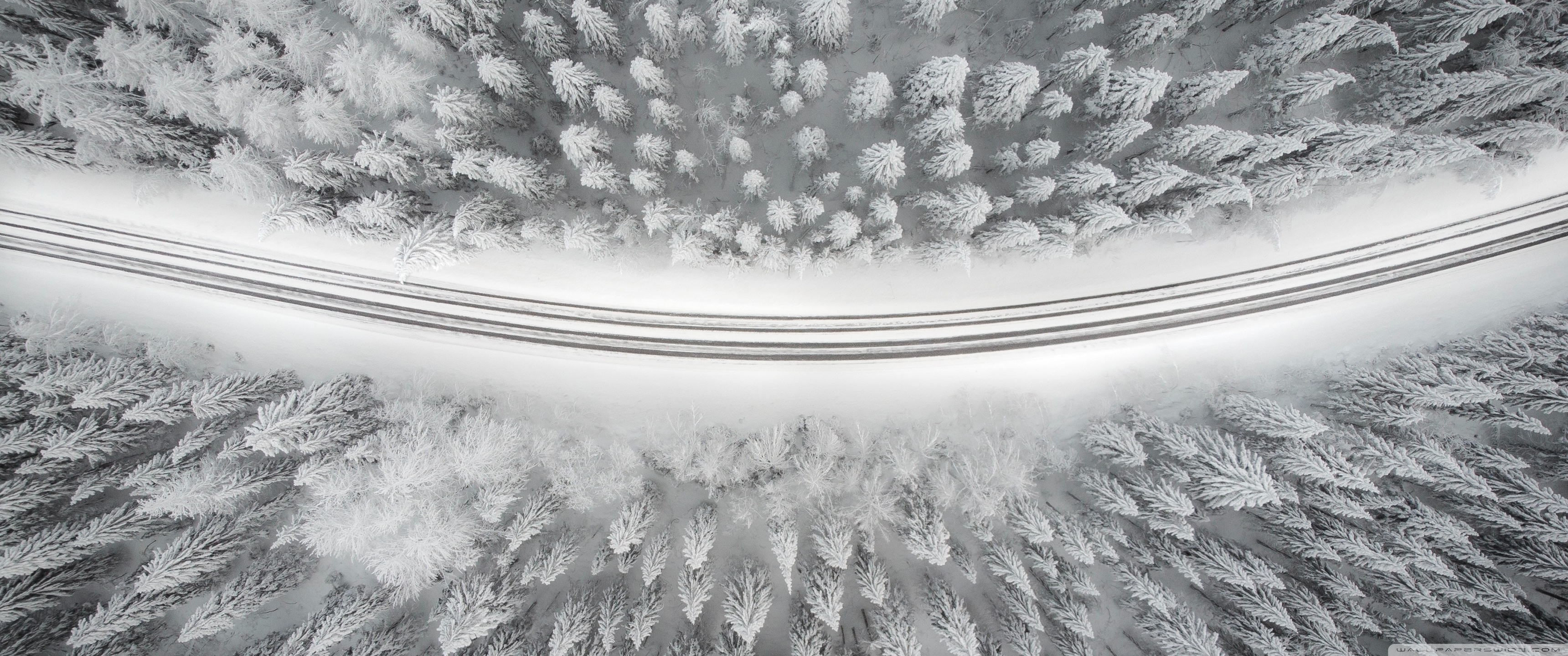 Road Curve, Snowy Forest Trees, Winter 4K UHD Wallpaper for UltraHD Desktop and TV, Widescreen and UltraWide Display, Smartphone and Tablet Devices
