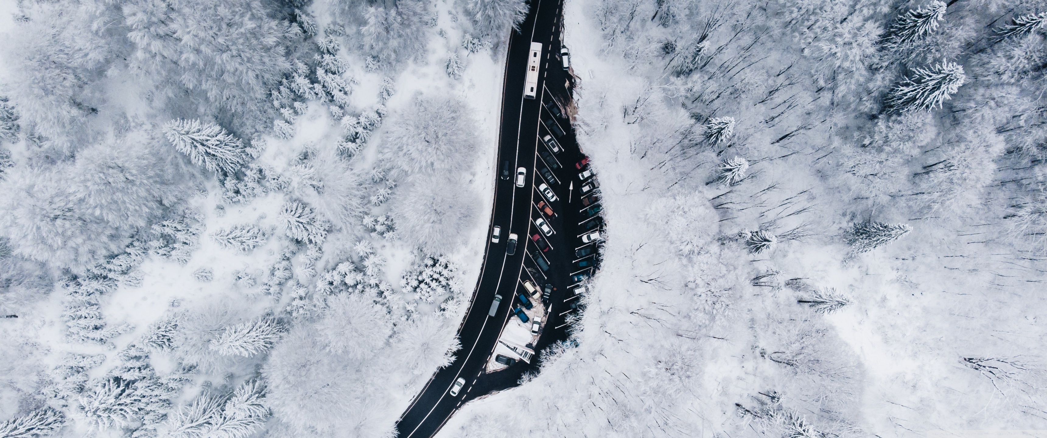 Winding Road, Winter, Snowy Trees, Aerial View 4K UHD Wallpaper for UltraHD Desktop and TV, Widescreen and UltraWide Display, Smartphone and Tablet Devices
