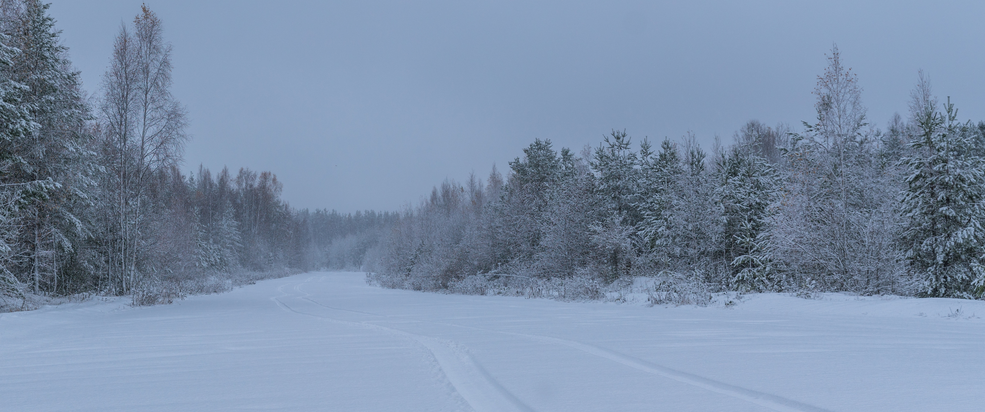 Download Winter, Snow, Scenery, Forest, Road Wallpaper in 3440x1440 Resolution