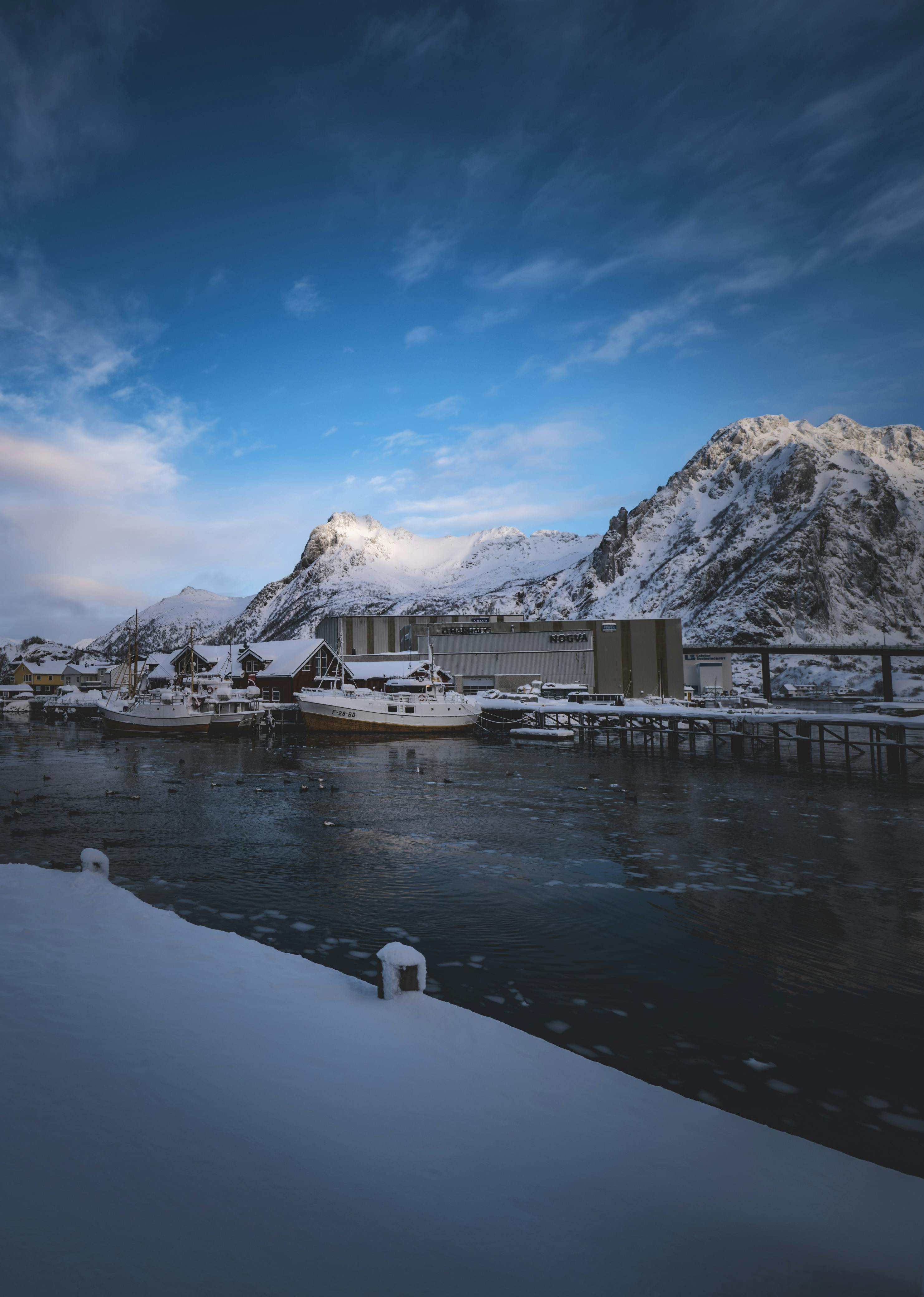 Scenic Winter Harbor View in Norway · Free