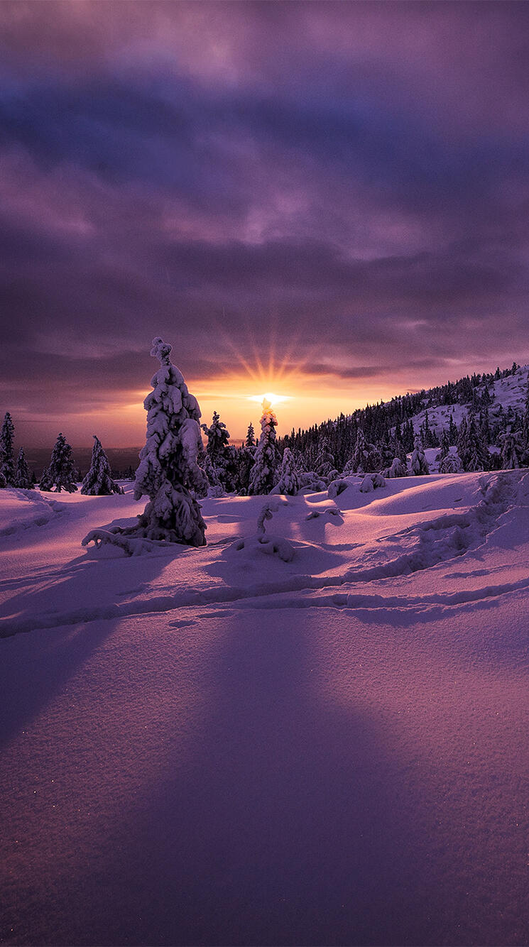Wallpaper Kongsberg Norway winter 750x1334 iPhone 6, 6S, 7, 8 from photomonstr image and screensavers