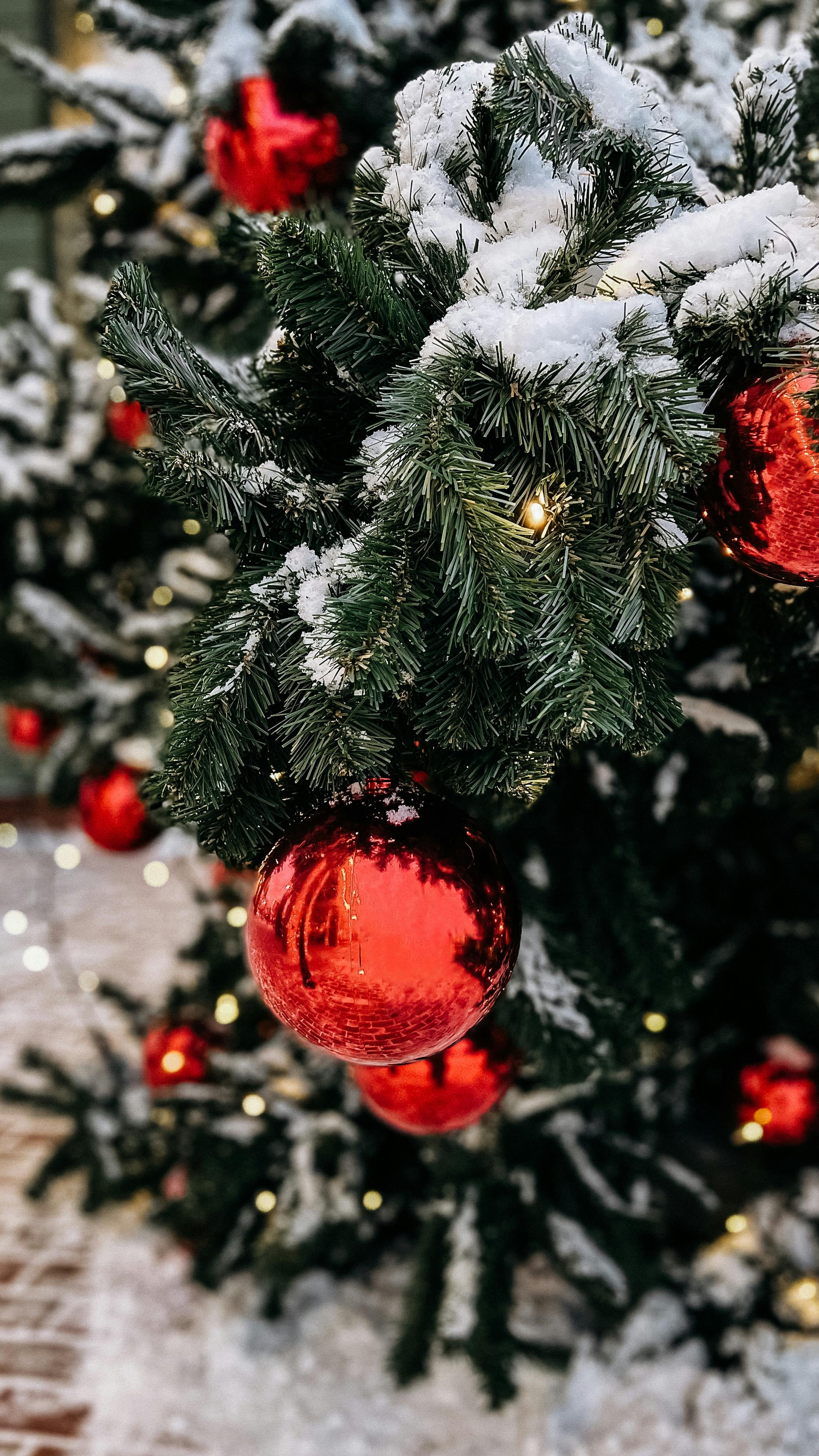 Red Christmas Balls Hanging on a Snow Covered Christmas Tree · Free