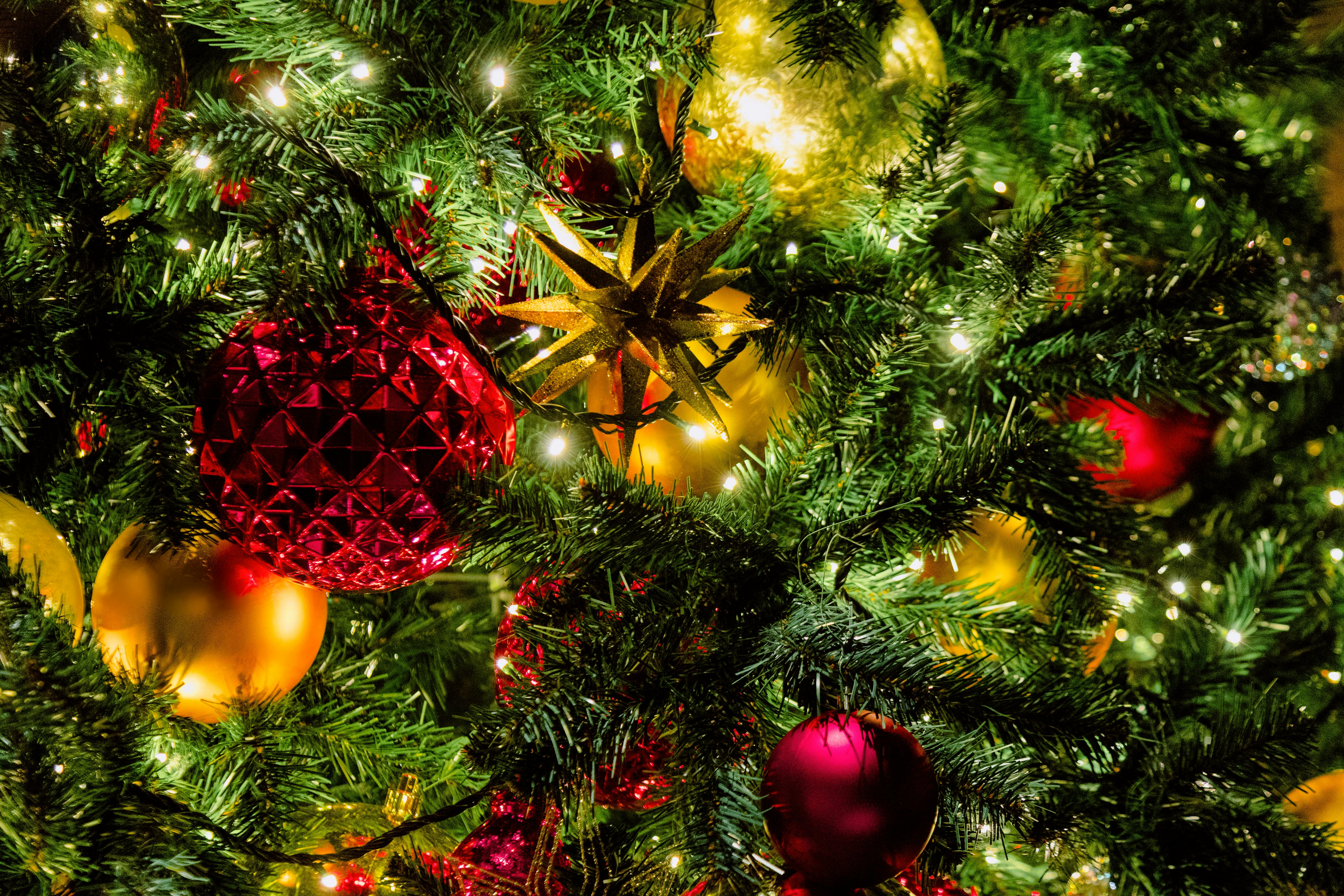 Green Christmas Tree With Red and Gold Baubles · Free