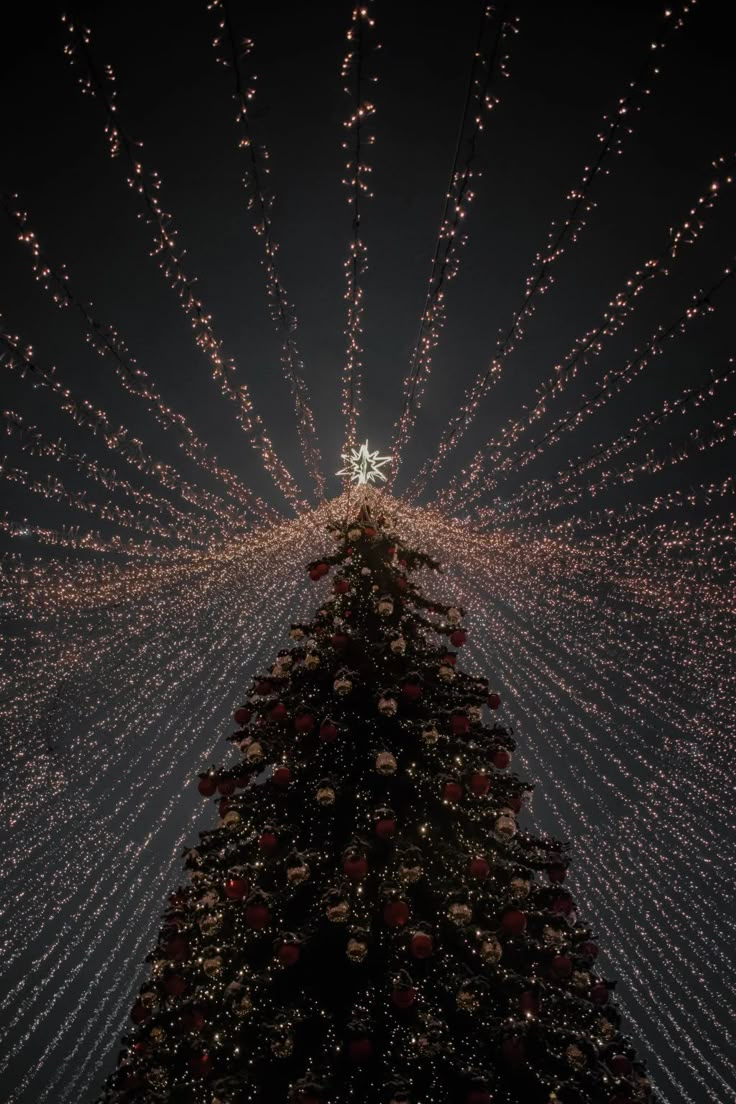 Christmas✨. Christmas wallpaper background, Christmas lockscreen, Christmas wallpaper