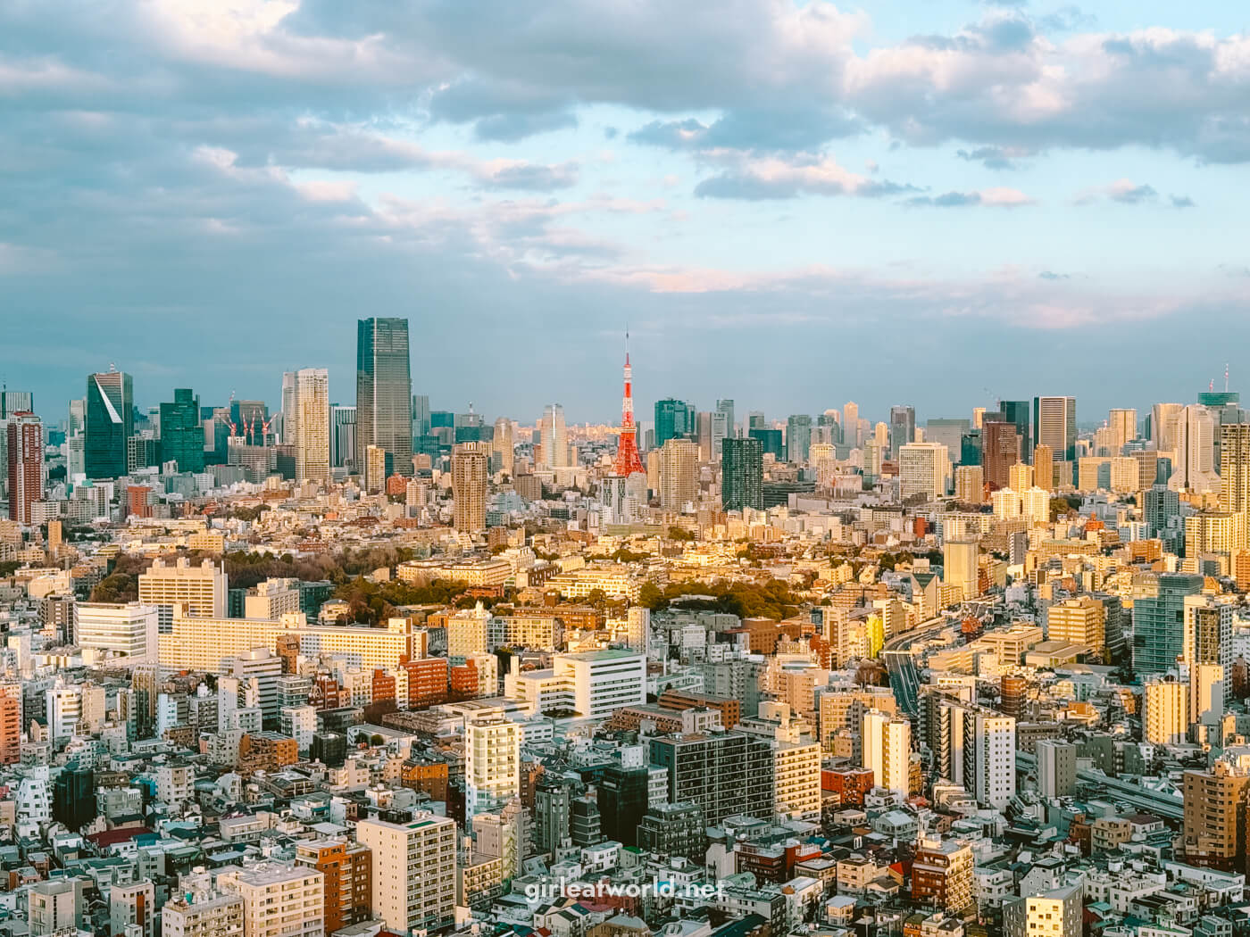 Best Views of Tokyo Skyline: Observation Decks and Viewing Points
