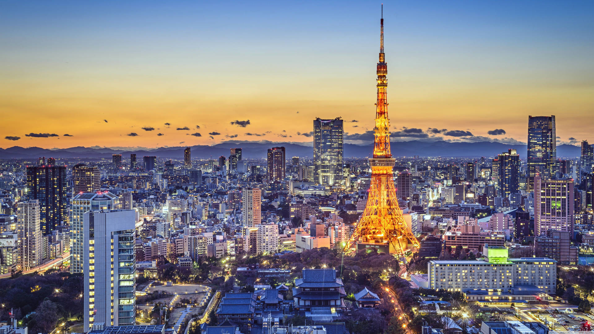 Download Night skyline of the vibrant Tokyo cityscape Wallpaper