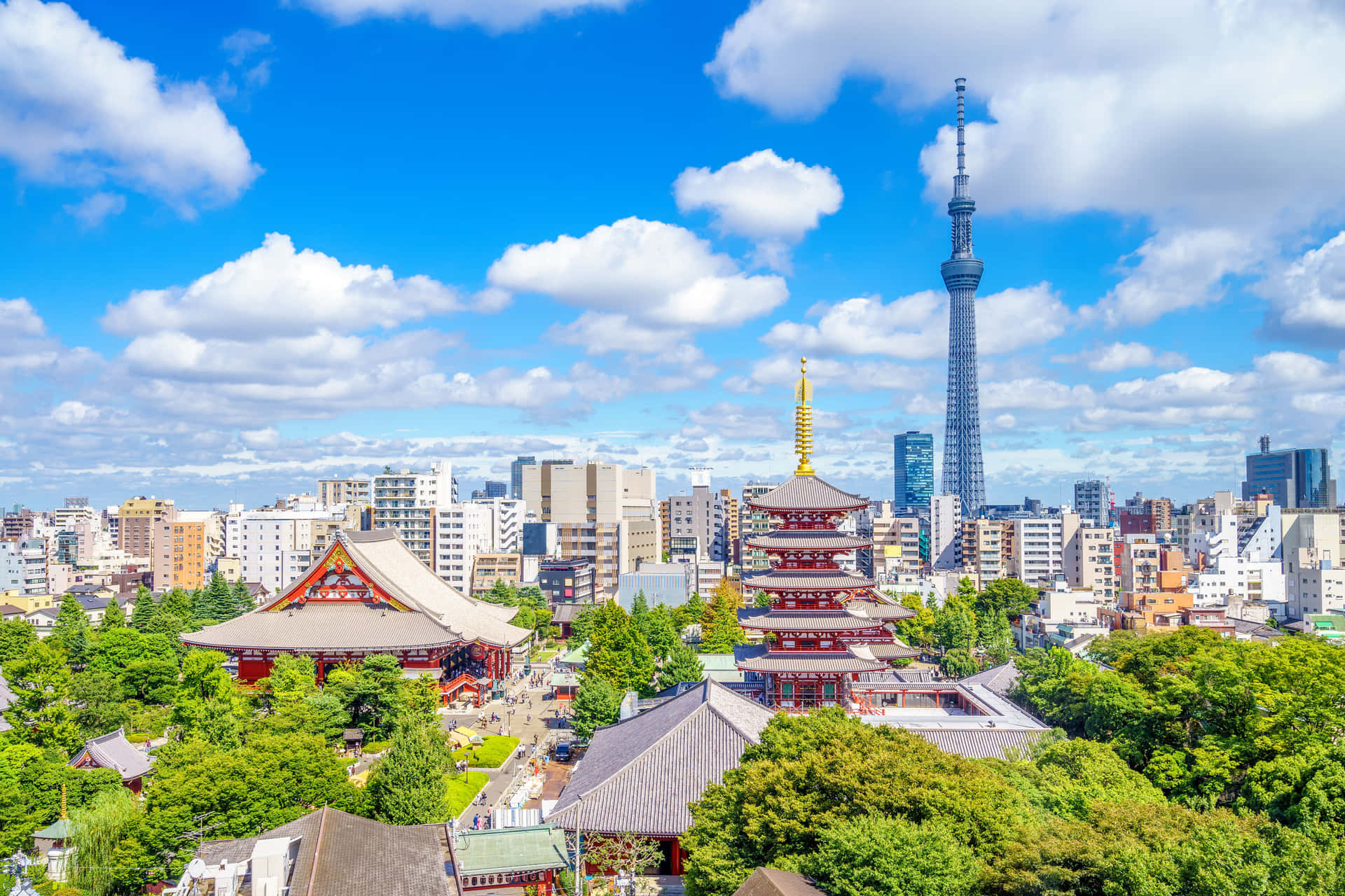 Tokyo Picture