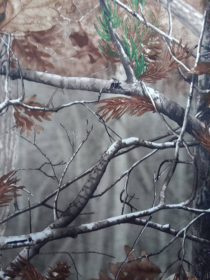 Download Realtree Hunting Camo Wallpaper