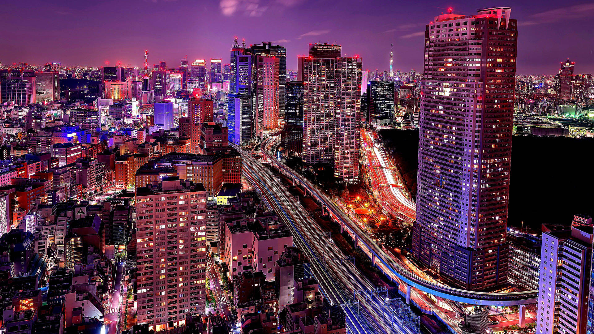 Download Magnificent View of Tokyo Skyline from Seaside Top Observatory Wallpaper