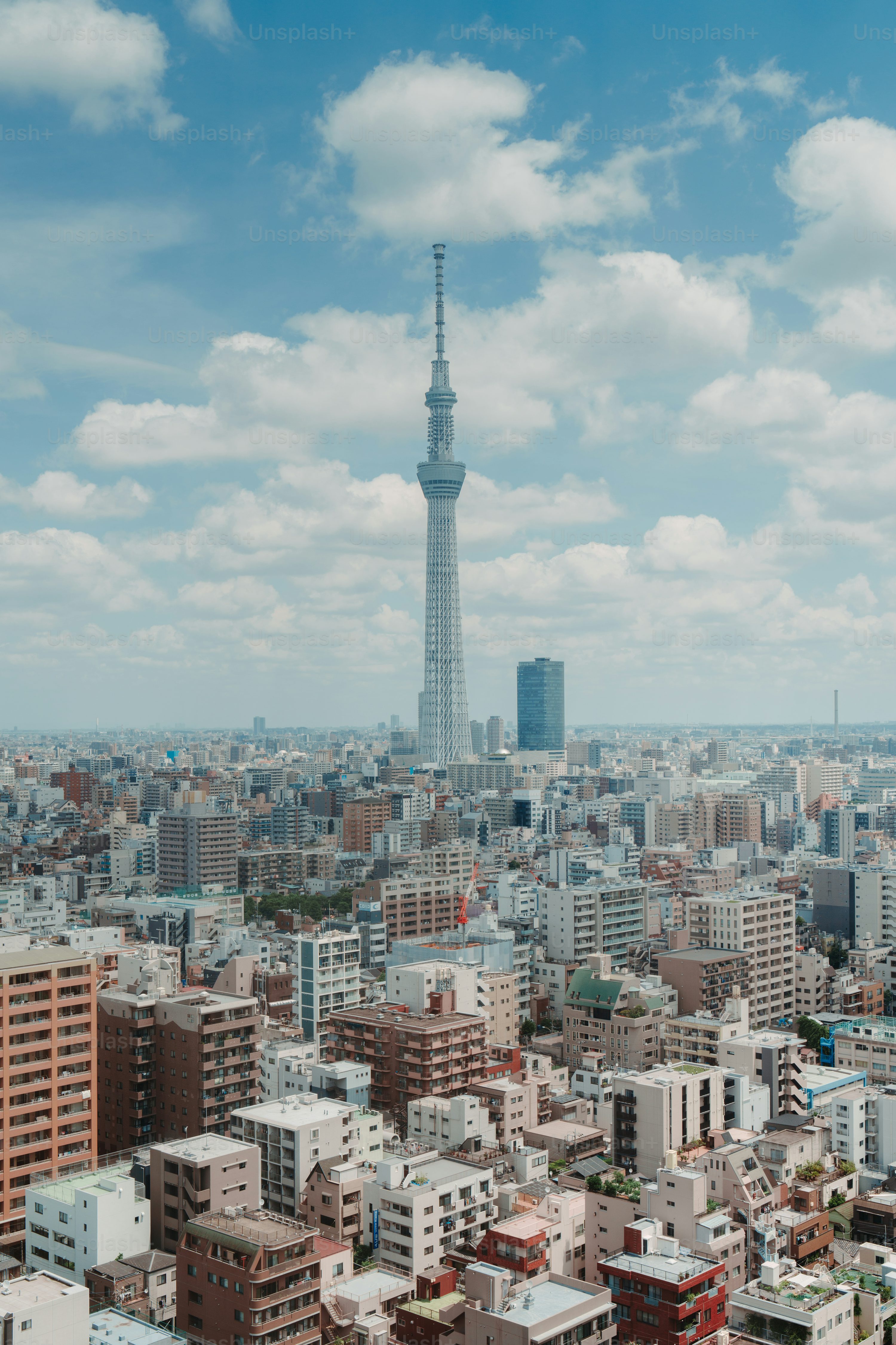 A view of a city with tall buildings photo
