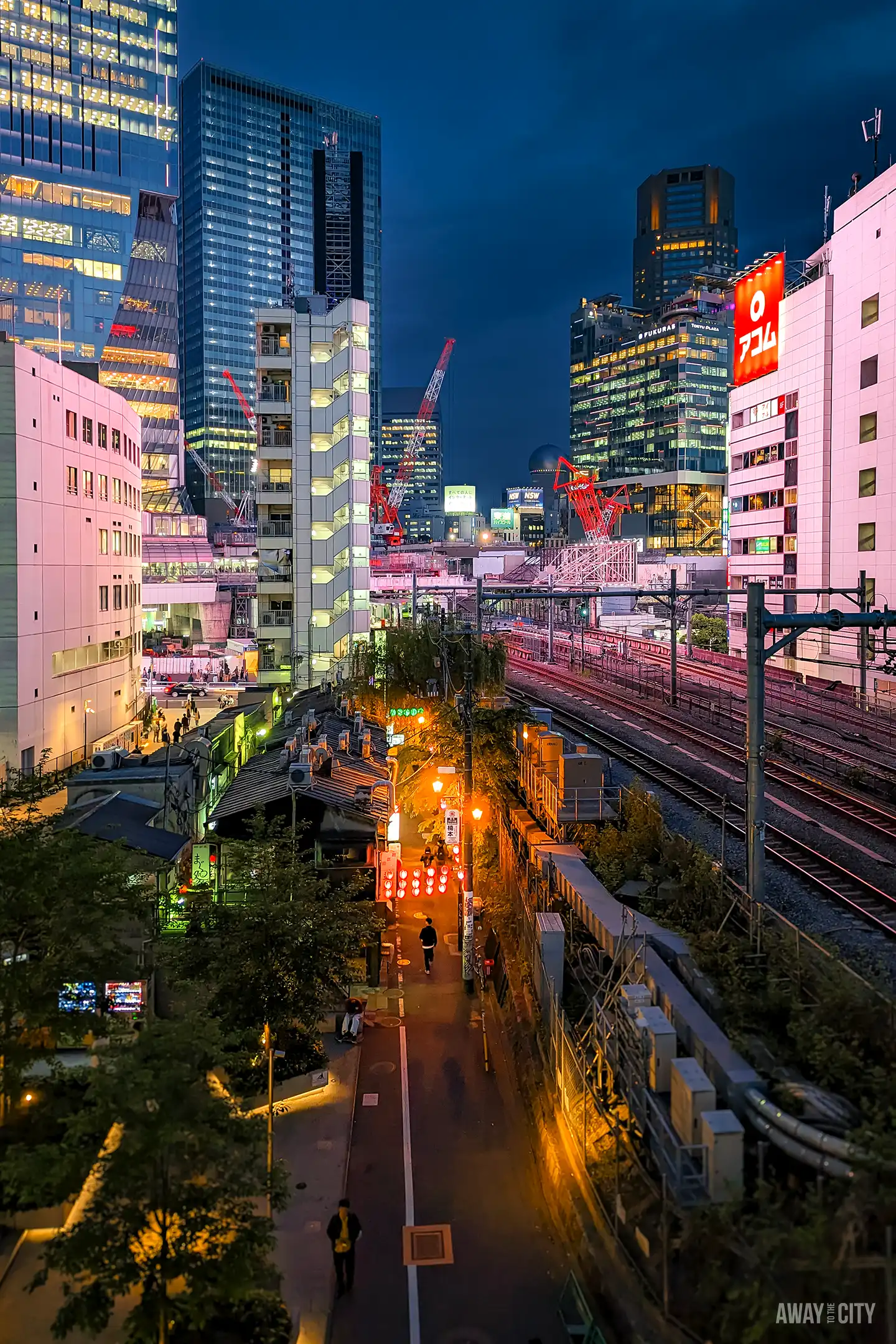 Best Things to Do in Tokyo: Top Attractions & Tips