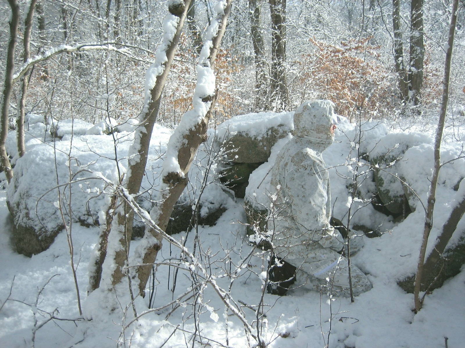 Snow Camouflage Pattern: Snowdrift