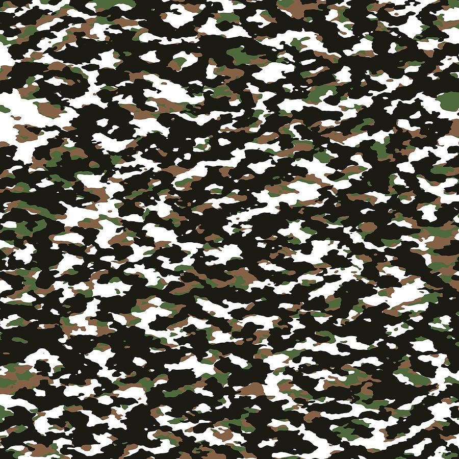 Does this look like winter camouflage?