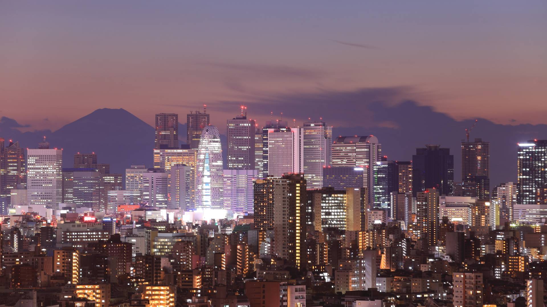 Tokyo Skyline: The Best Places for Tokyo City Views. The Official Tokyo Travel Guide, GO TOKYO