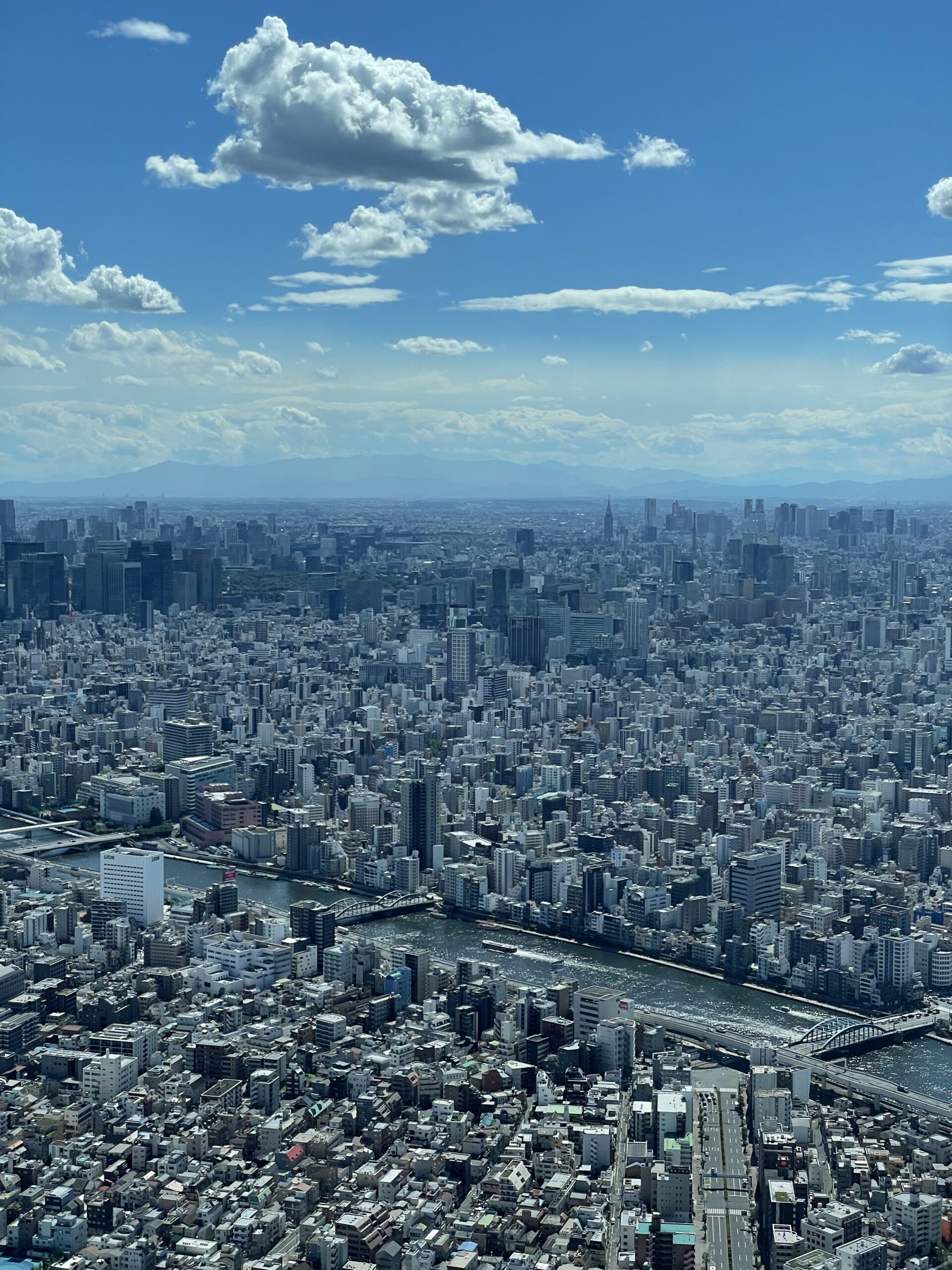 Best Things to Do in Tokyo
