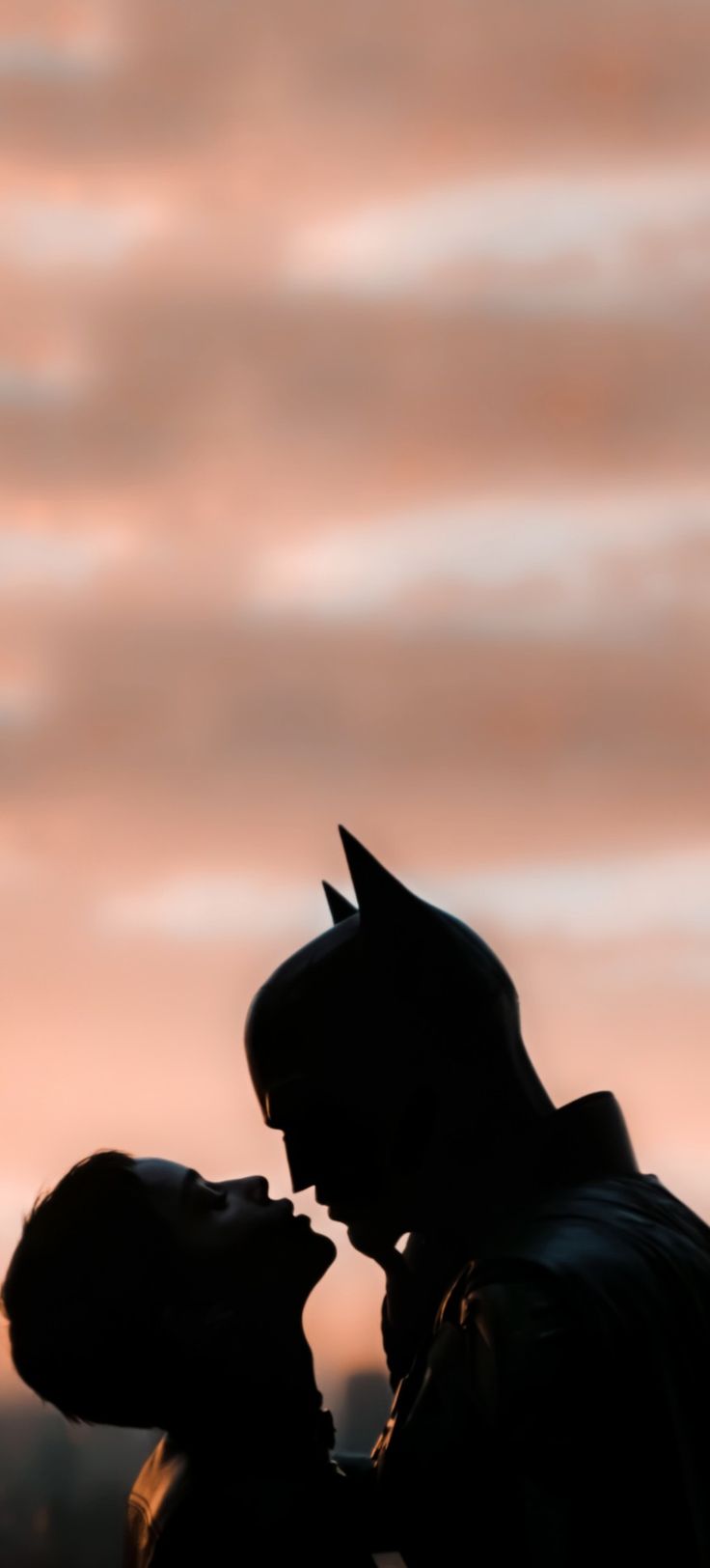 Bat & Cat