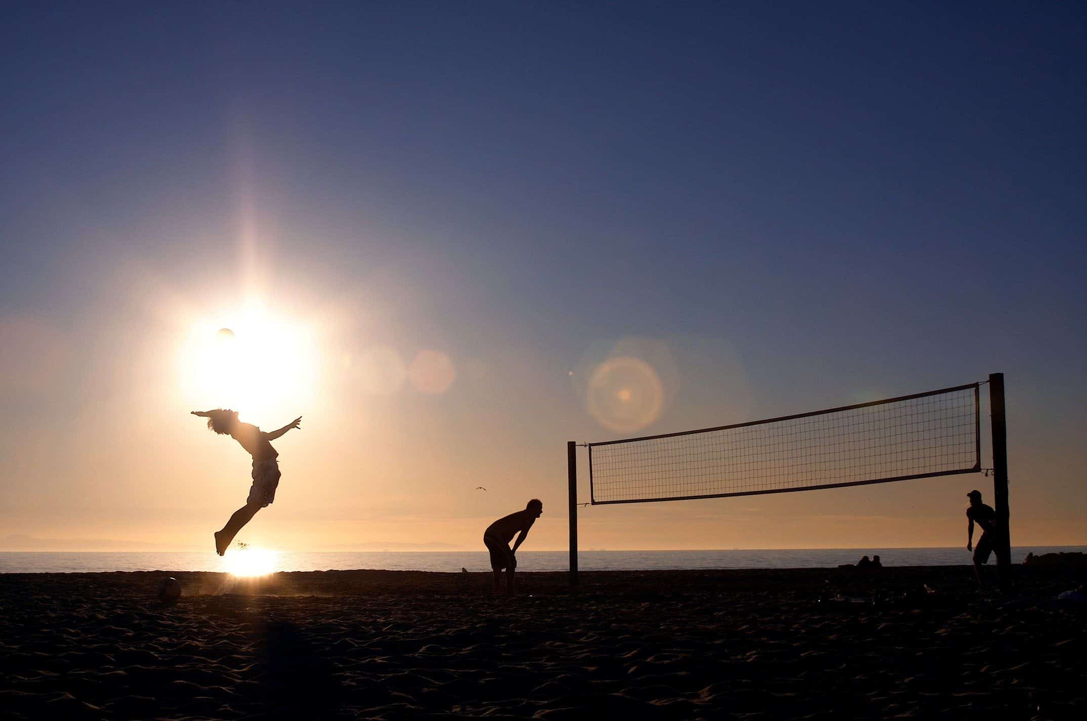 Volleyball HD Wallpaper