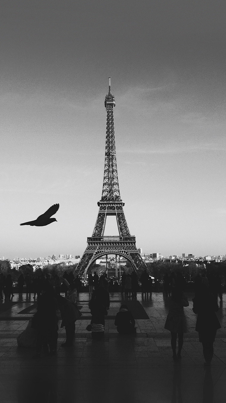 I Love Papers. paris eiffel tower tour dark bw bird france