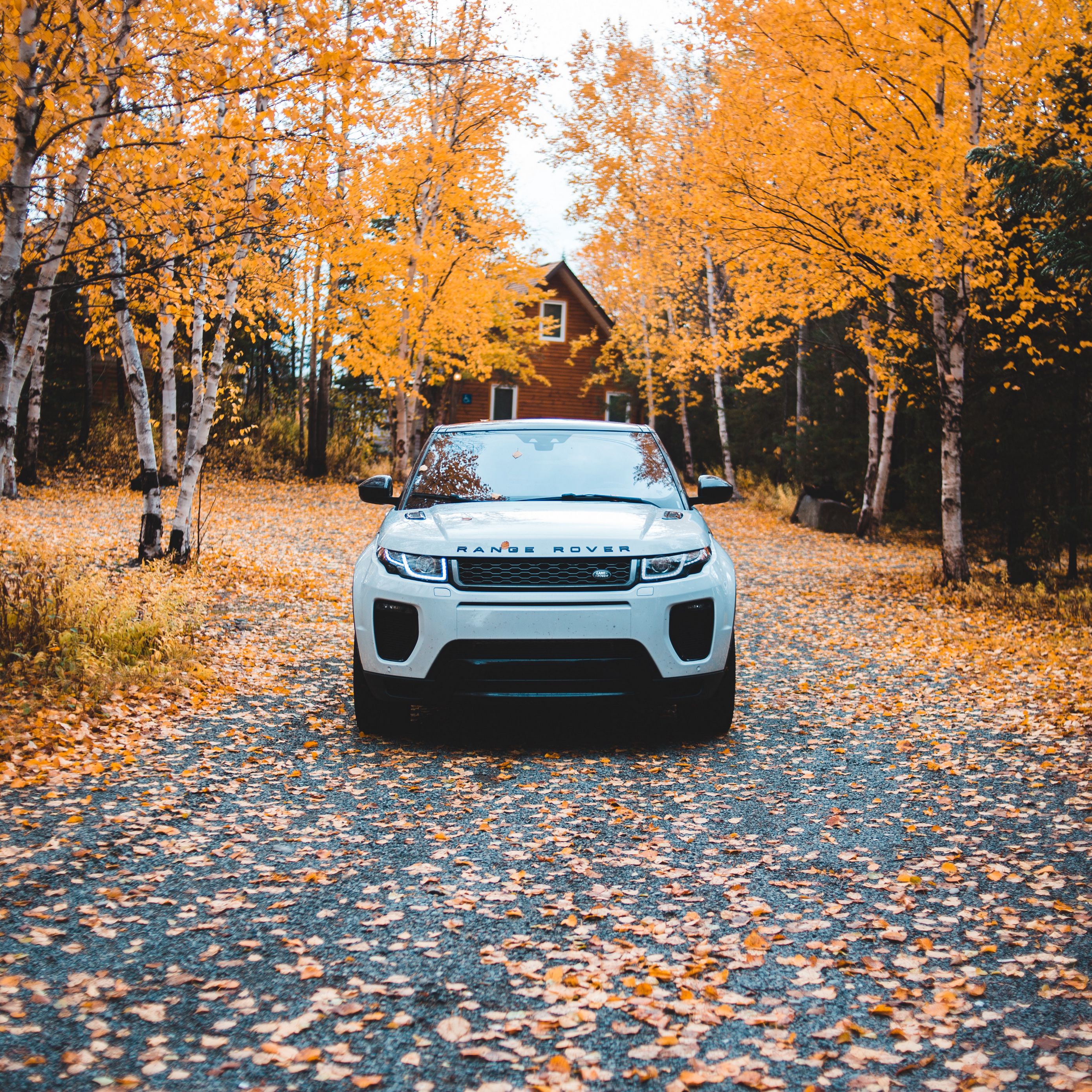Download wallpaper 2780x2780 range rover, land rover, suv, autumn, front view ipad air, ipad air 2, ipad 3, ipad 4, ipad mini 2, ipad mini 3, ipad mini 4, ipad pro 9.7 for parallax HD background