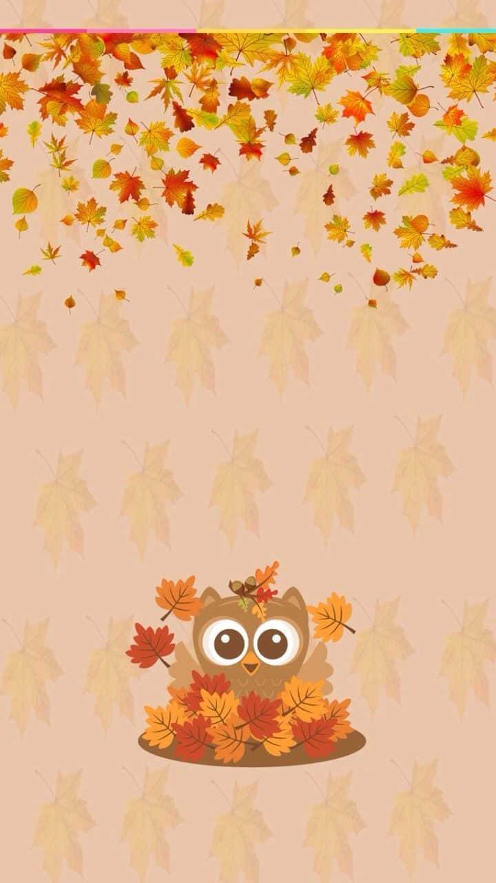 Download Owl In Maple Leaves Fall Phone Background