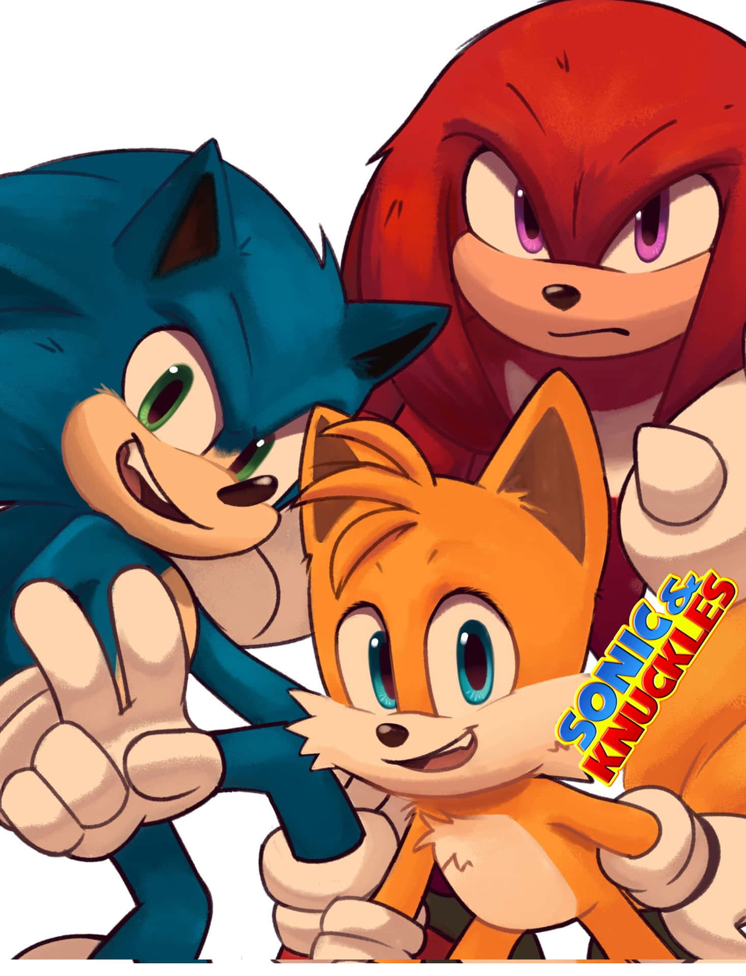 Download Sonic and Knuckles Team Up Wallpaper