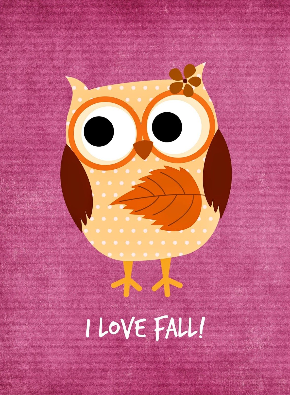 Fall Owl Wallpaper, HD Fall Owl Background on WallpaperBat