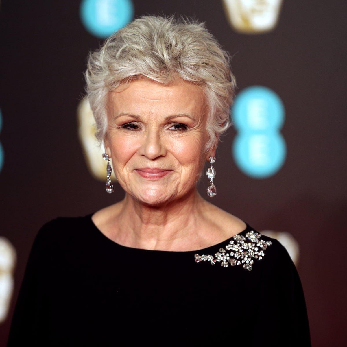 Julie Walters quits Channel 4 drama Truelove due to ill health