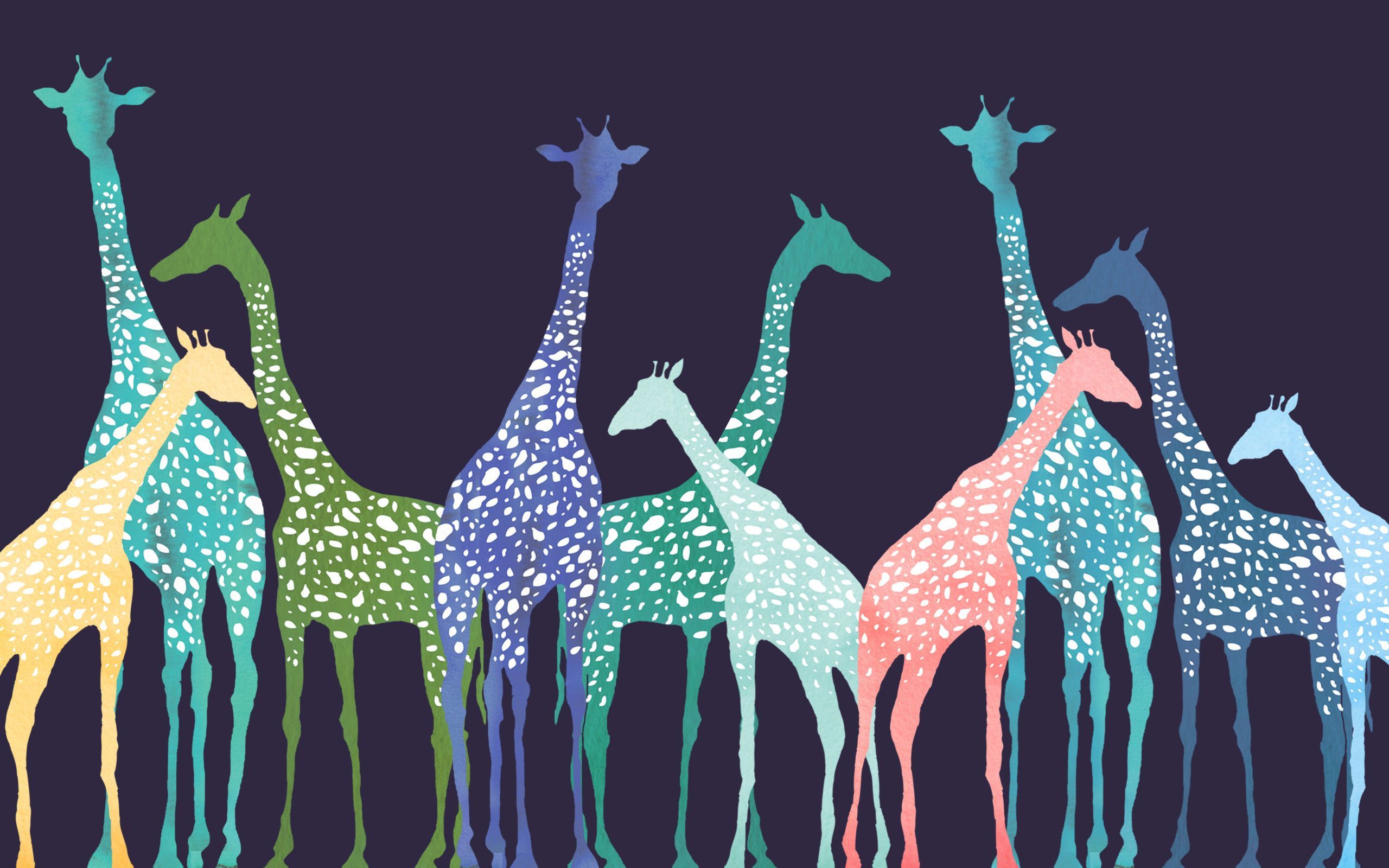 Giraffe Laptop Wallpaper, HD Giraffe Laptop Background on WallpaperBat