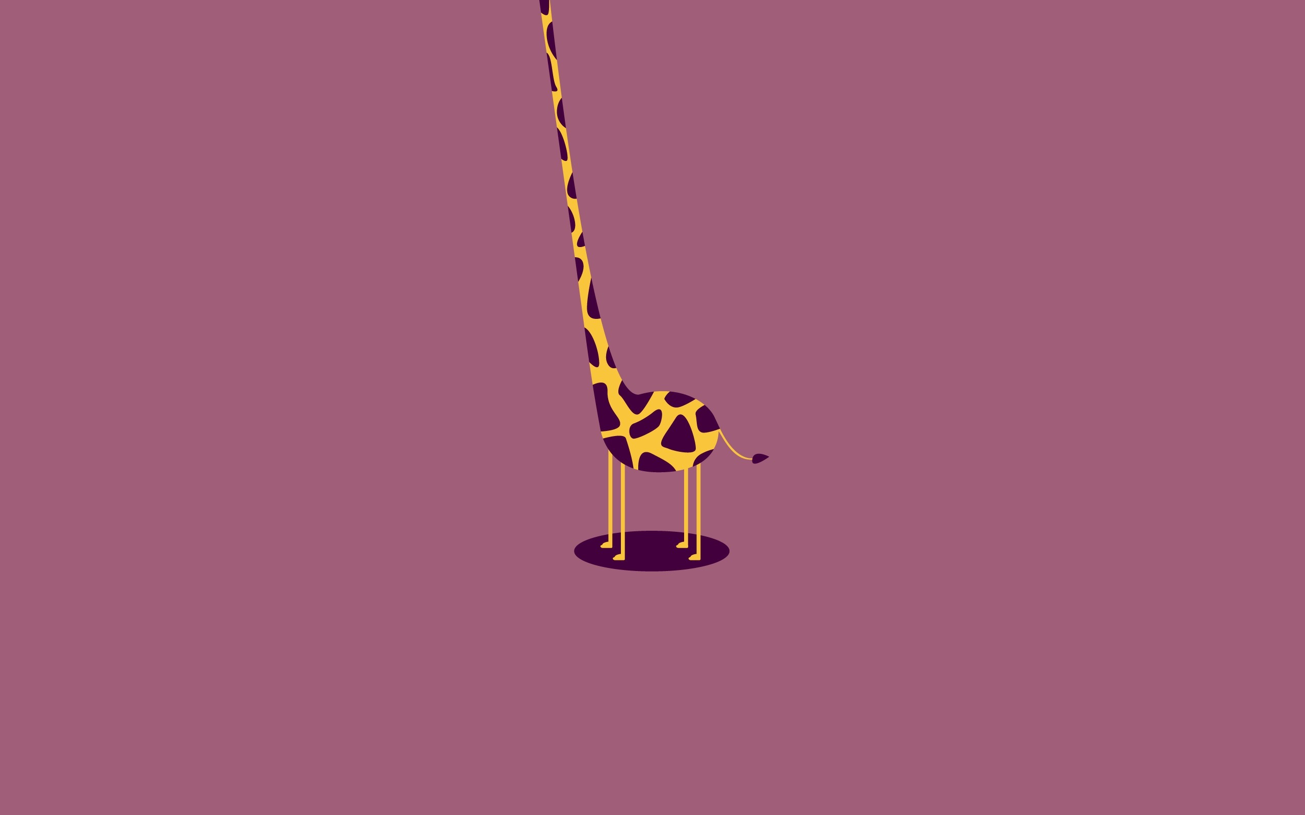 Download Giraffe Funny HD Wallpaper