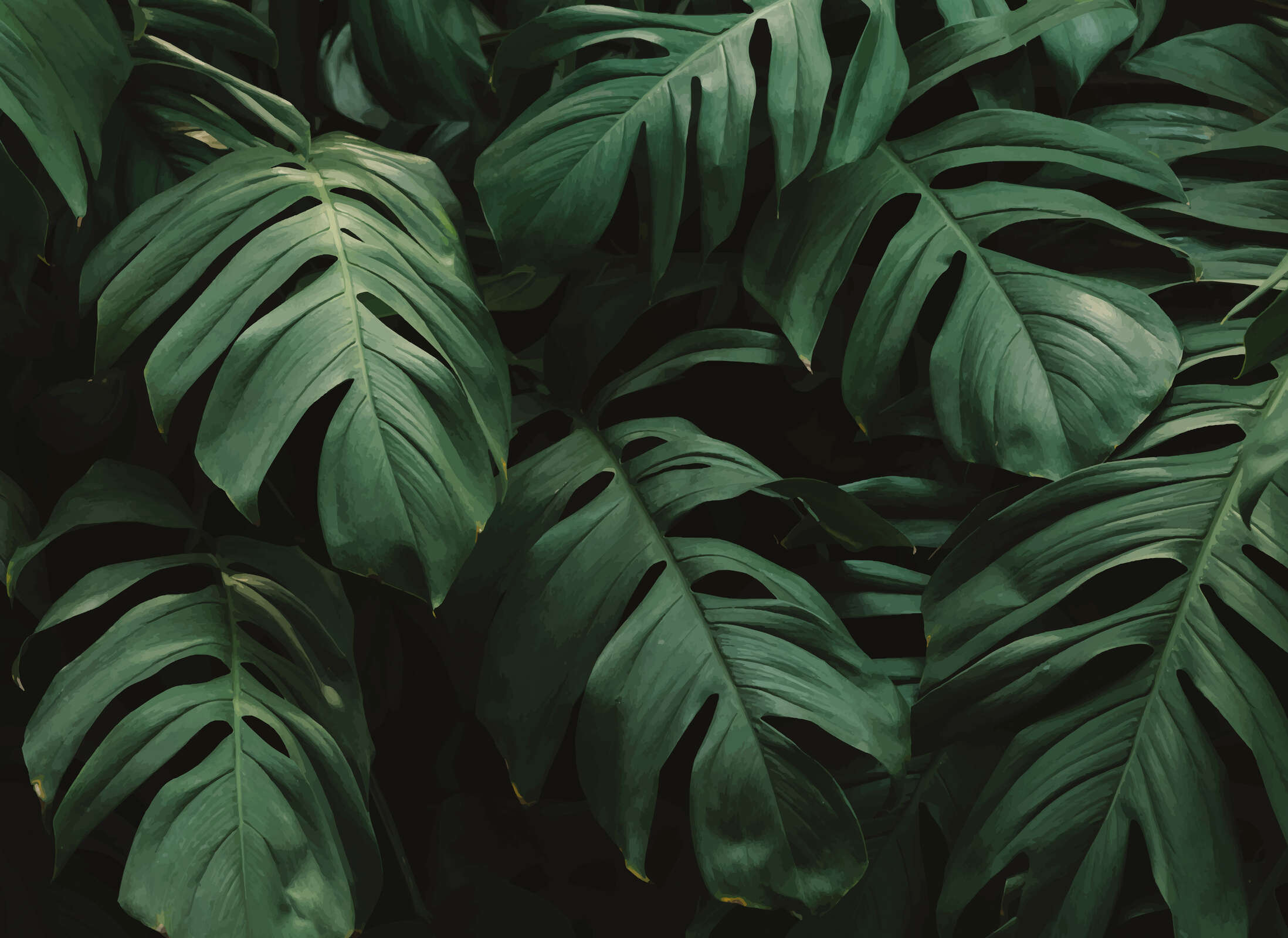 livingwalls Photo wallpaper Designwalls 2