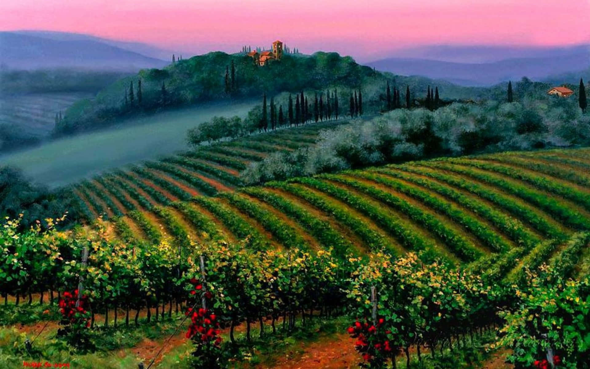 Download Painted Vineyard In France Wallpaper