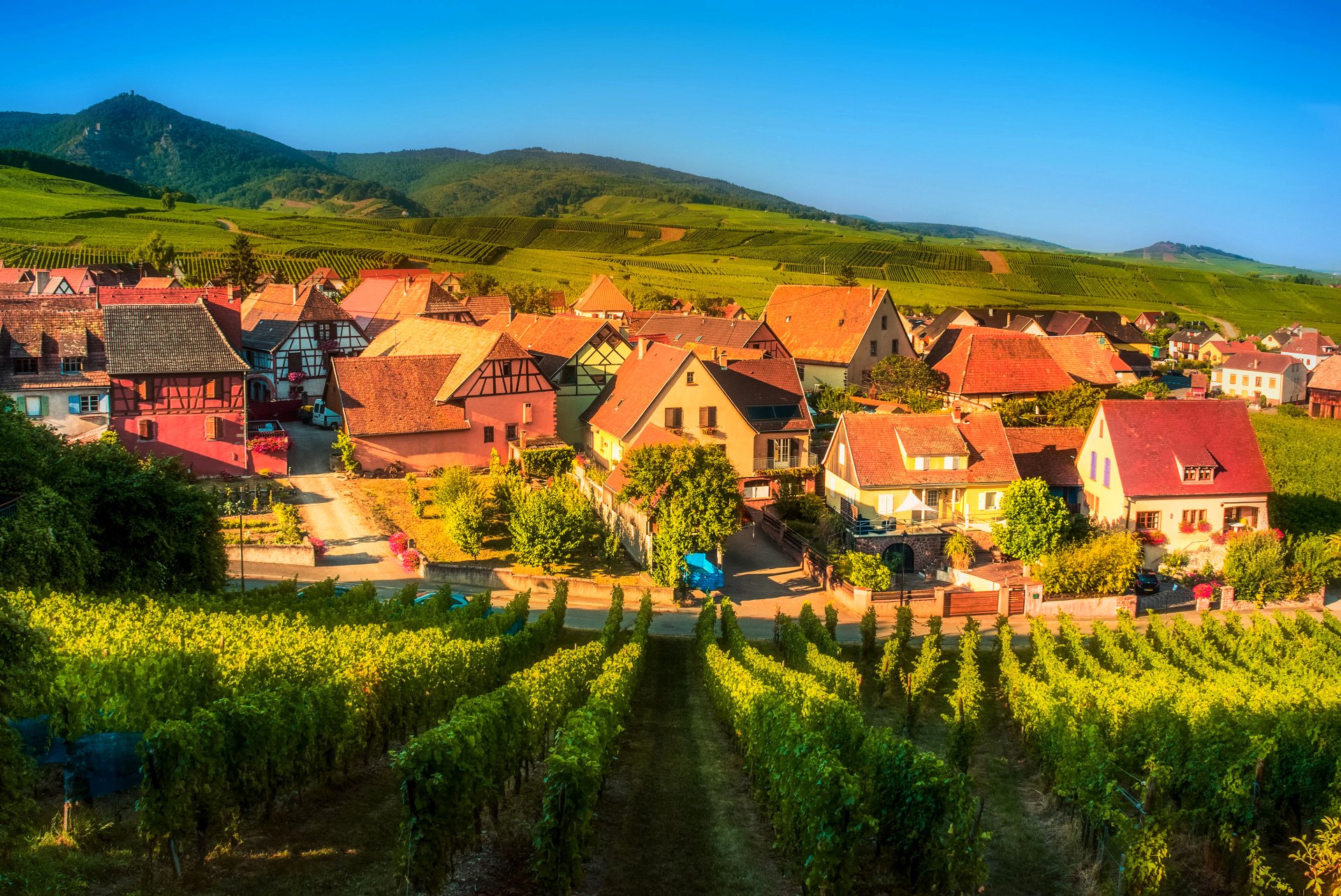 Charming Vineyard Village: A Stunning HD Wallpaper of French Countryside